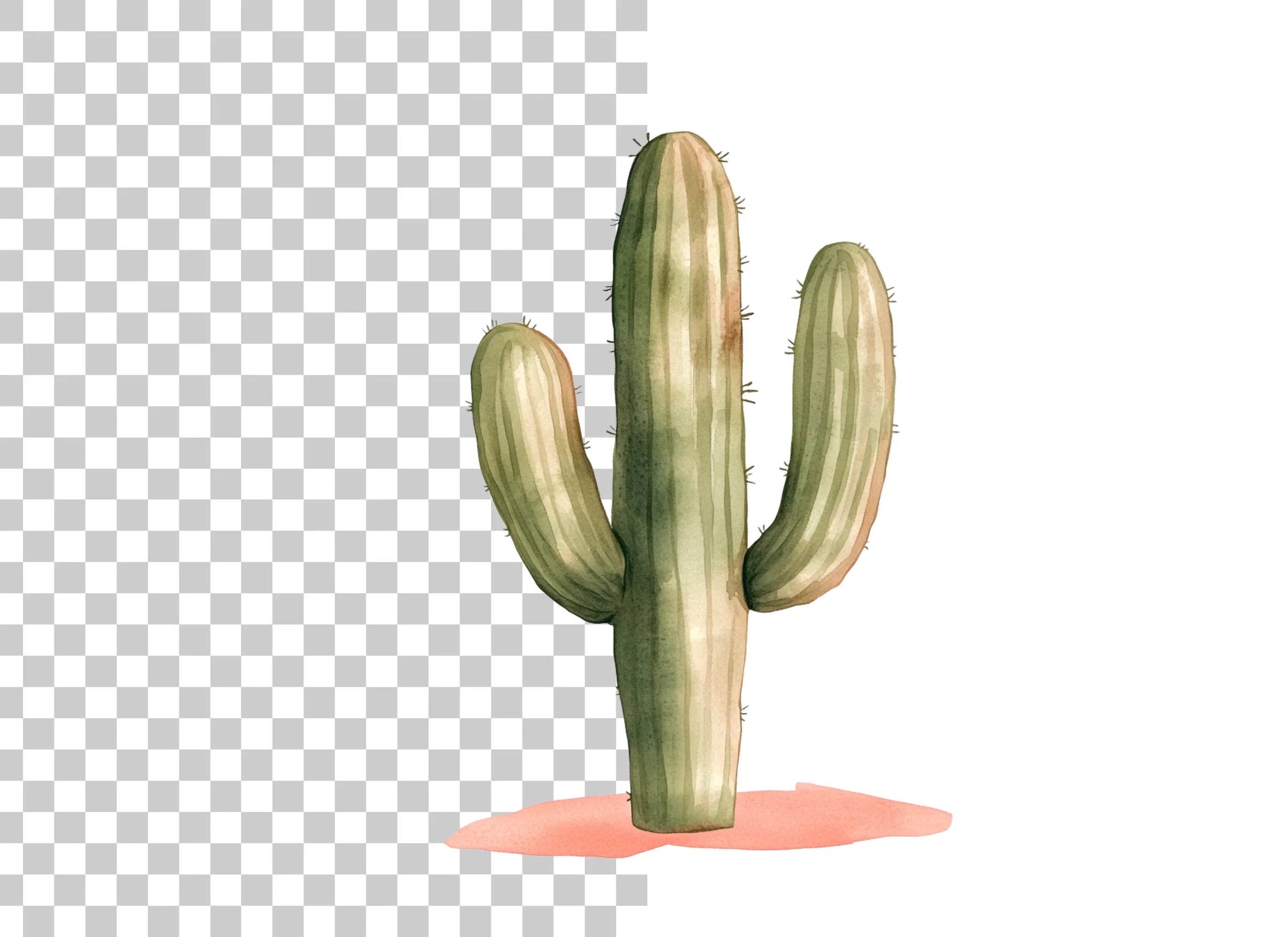 Saguaro Cactus Clipart Bundle