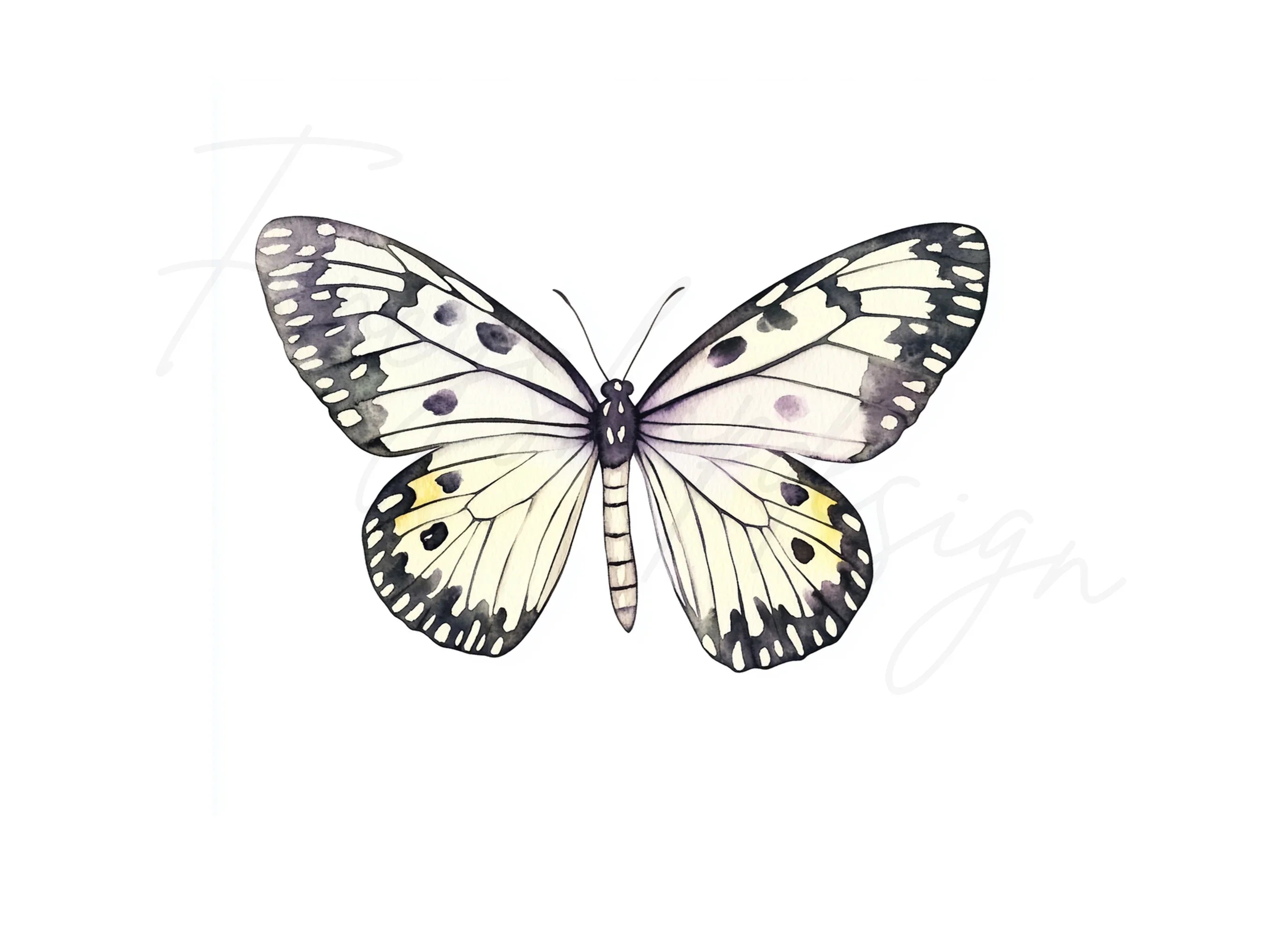 Black and White Butterflies Clipart Bundle