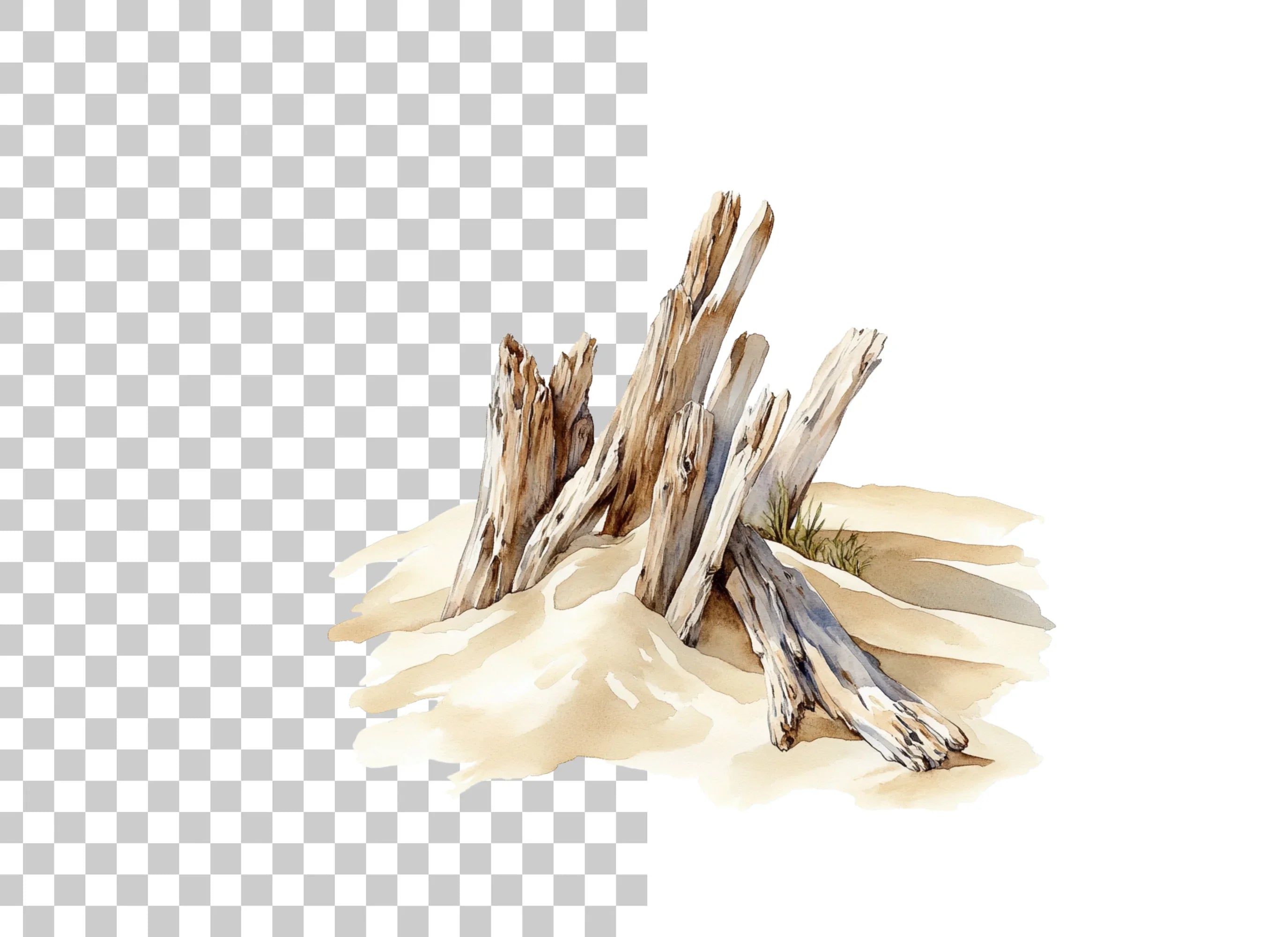 Driftwood Pile on Sand Clipart Bundle