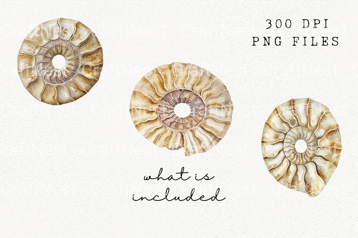 Ammonite Fossil Clipart Bundle
