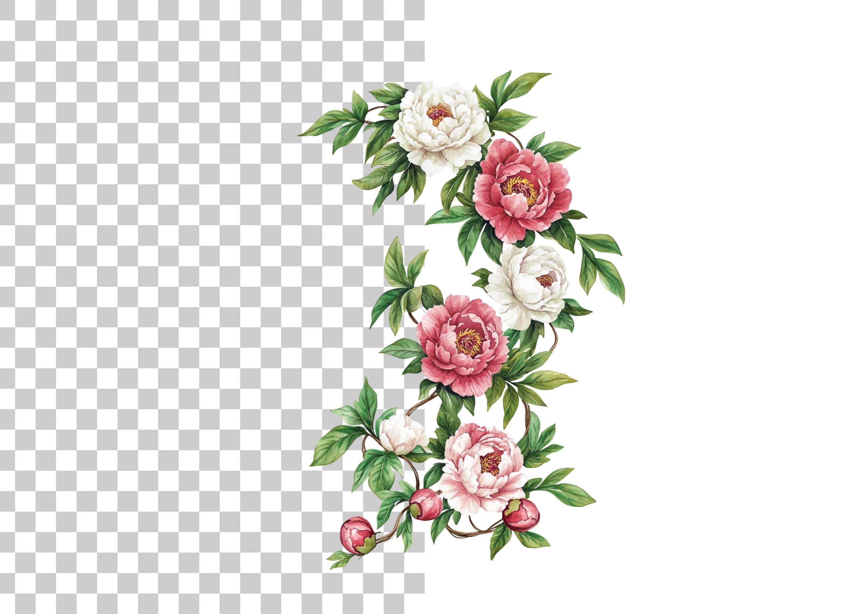Elegant Peony Flower Arrangement Clipart Bundle
