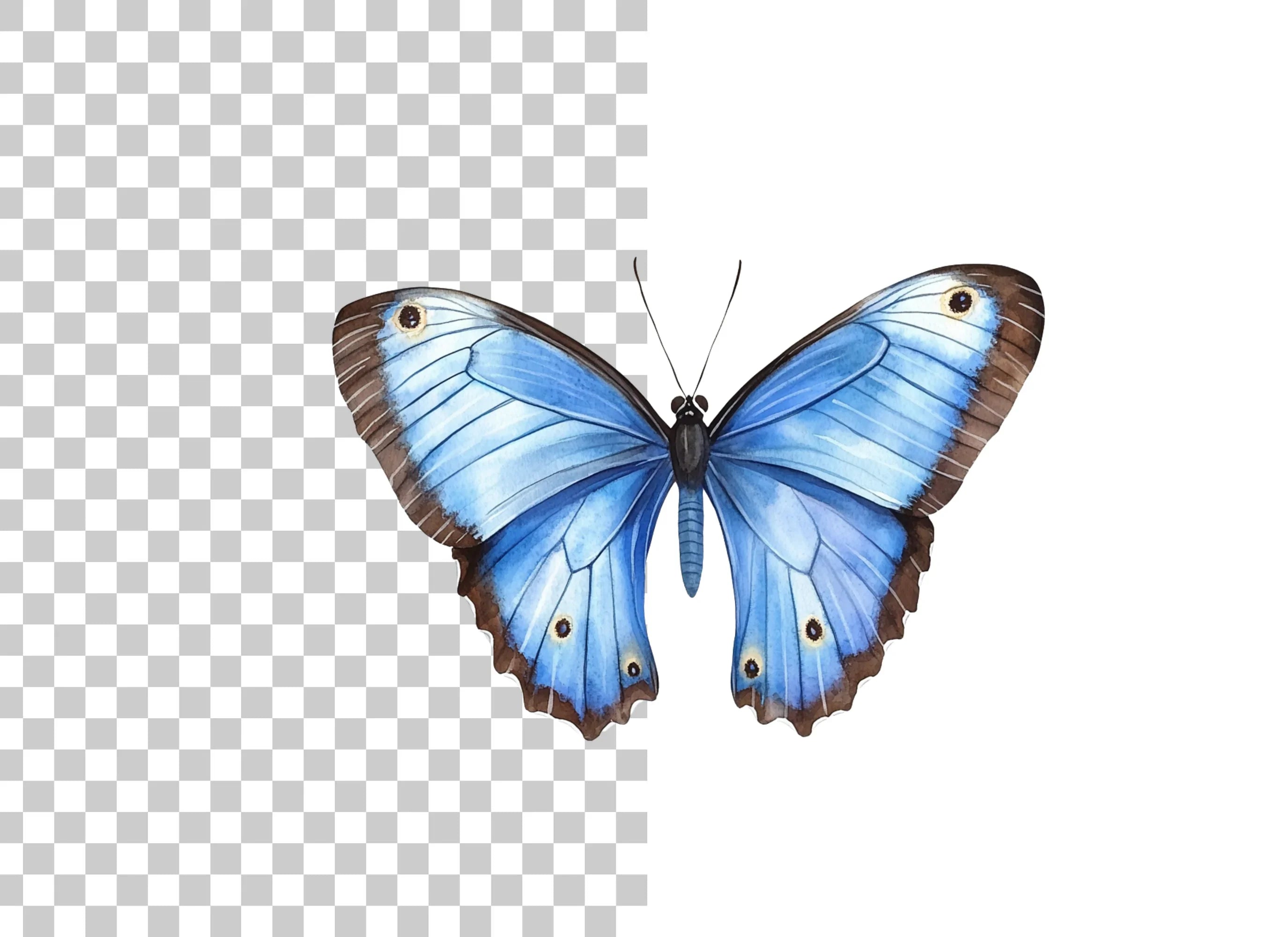 Blue Butterfly Clipart Bundle
