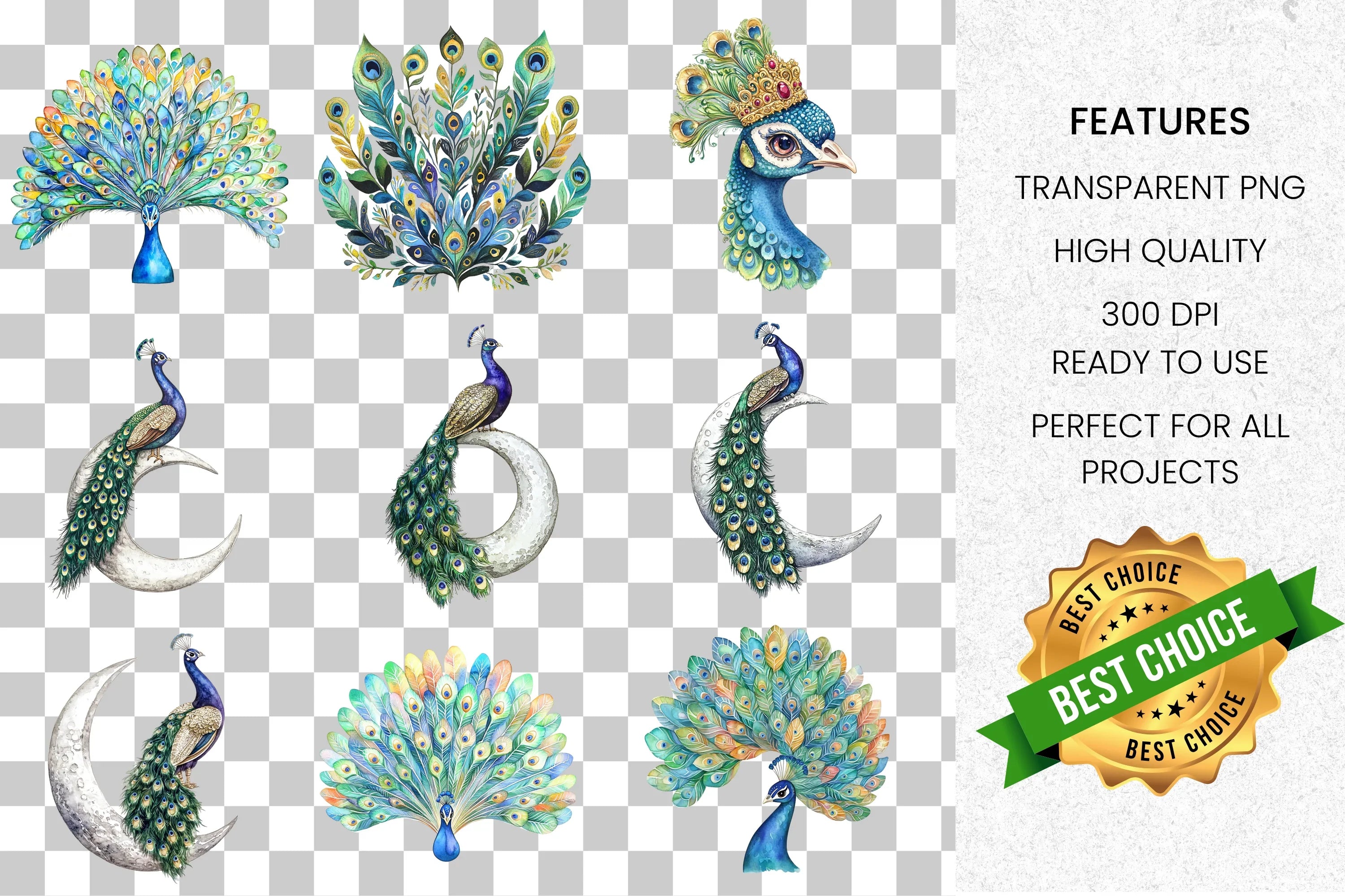 Elegant Peacock Feather Clipart Bundle