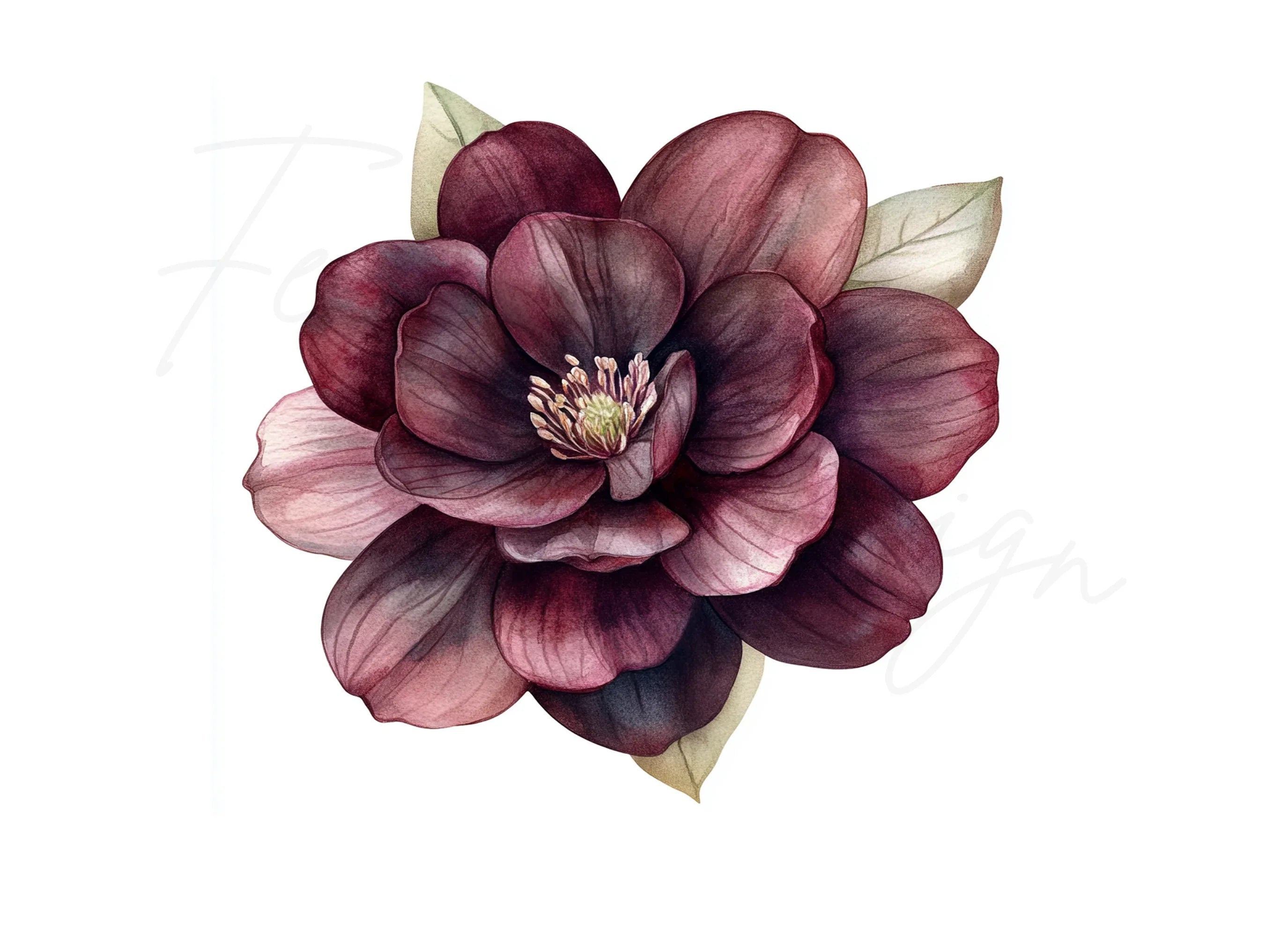 Dark Burgundy Flower Clipart Bundle