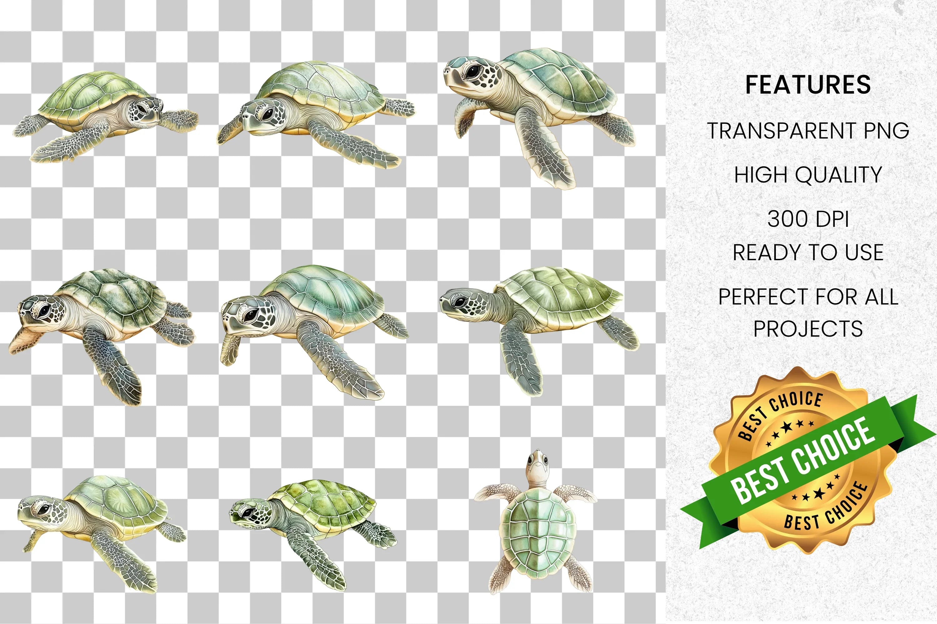 Baby Sea Turtle Clipart Bundle