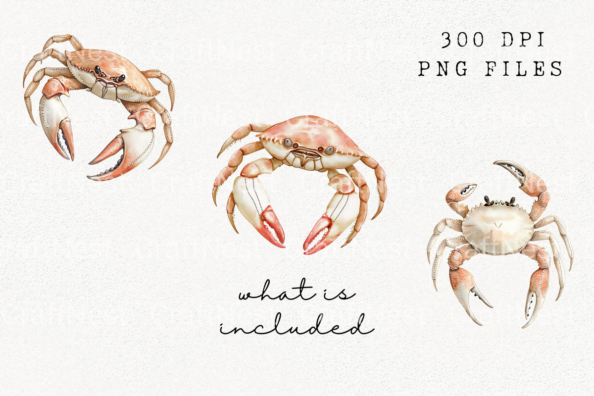 Realistic Crab Ocean Life Clipart Planner