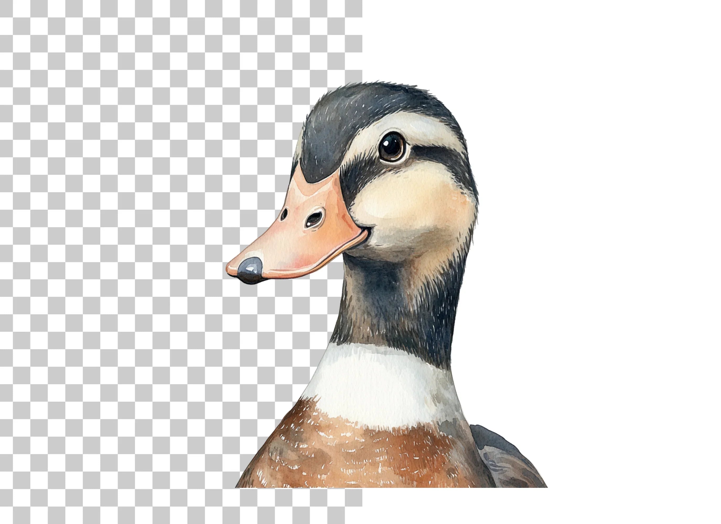 Cute Duckling Clipart Bundle