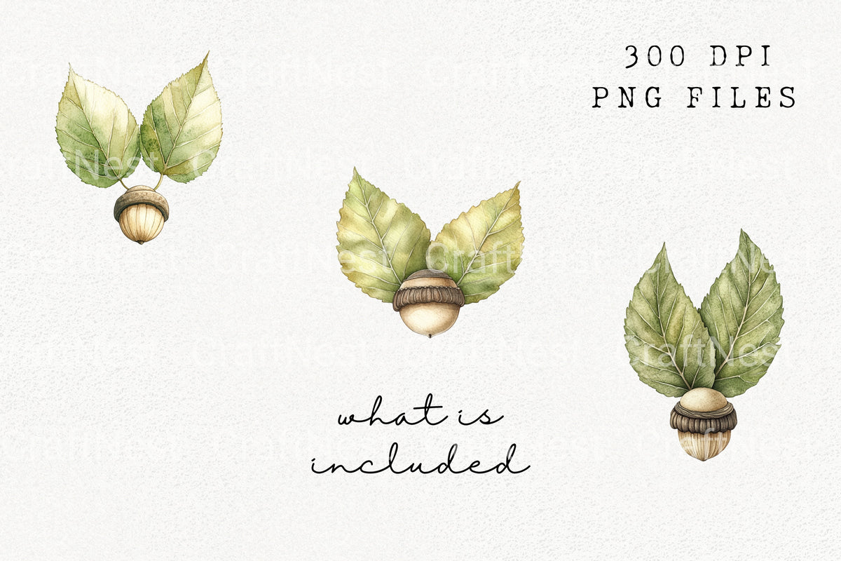 Autumn Acorn And Leaf Graphics Clipart Bundle