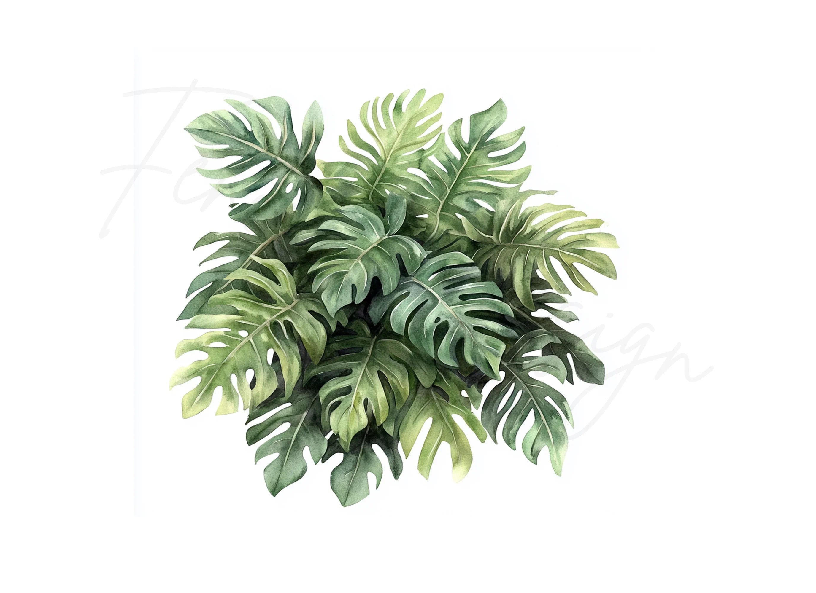 Tropical Leaf Clipart Bundle