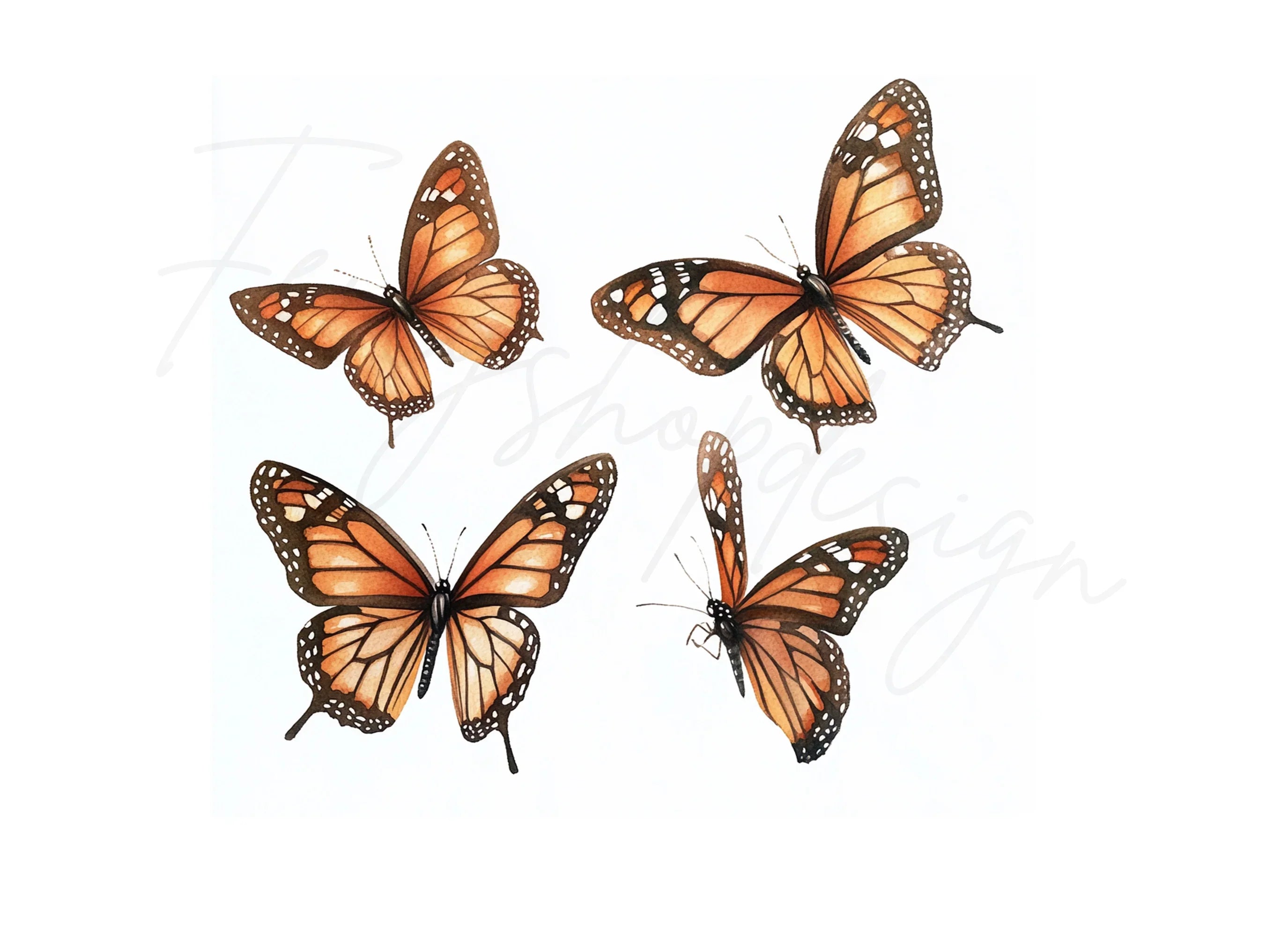 Monarch Butterfly Clipart Bundle
