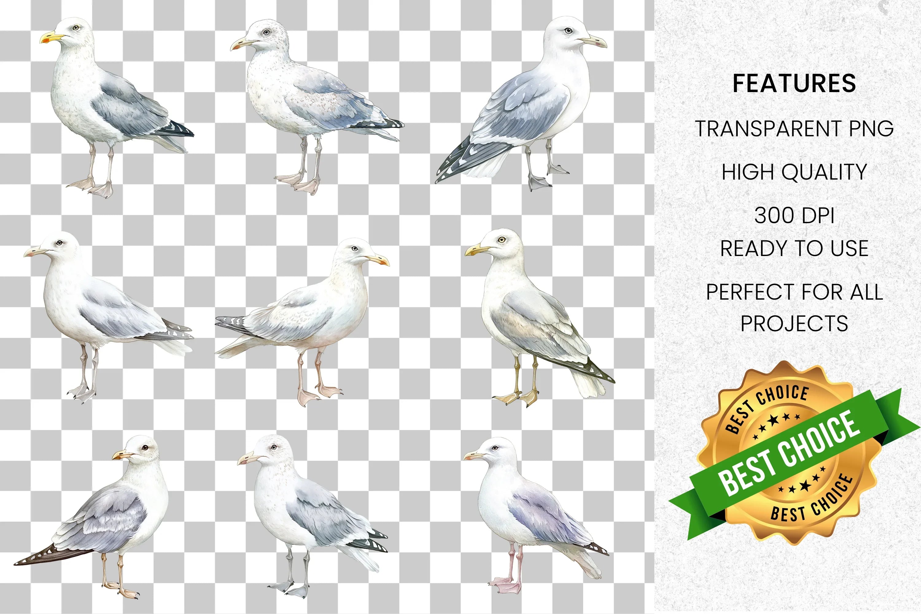 Seagull Birds Clipart Bundle
