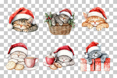 Cozy Cute Cats Clipart Bundle - CraftNest - Digital Crafting and Art