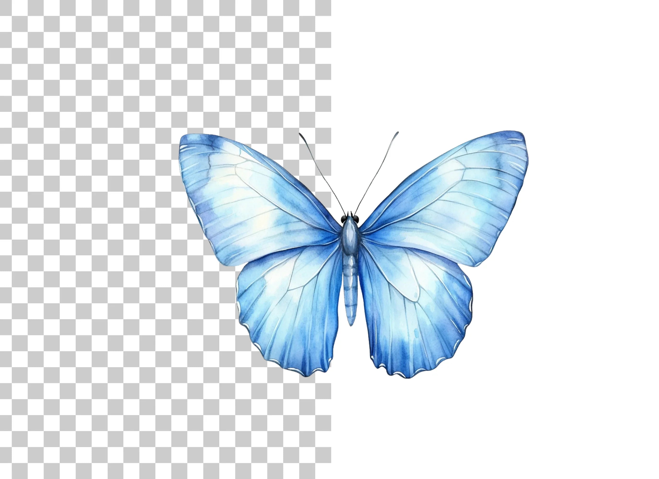 Stunning Blue Butterfly Clipart Bundle