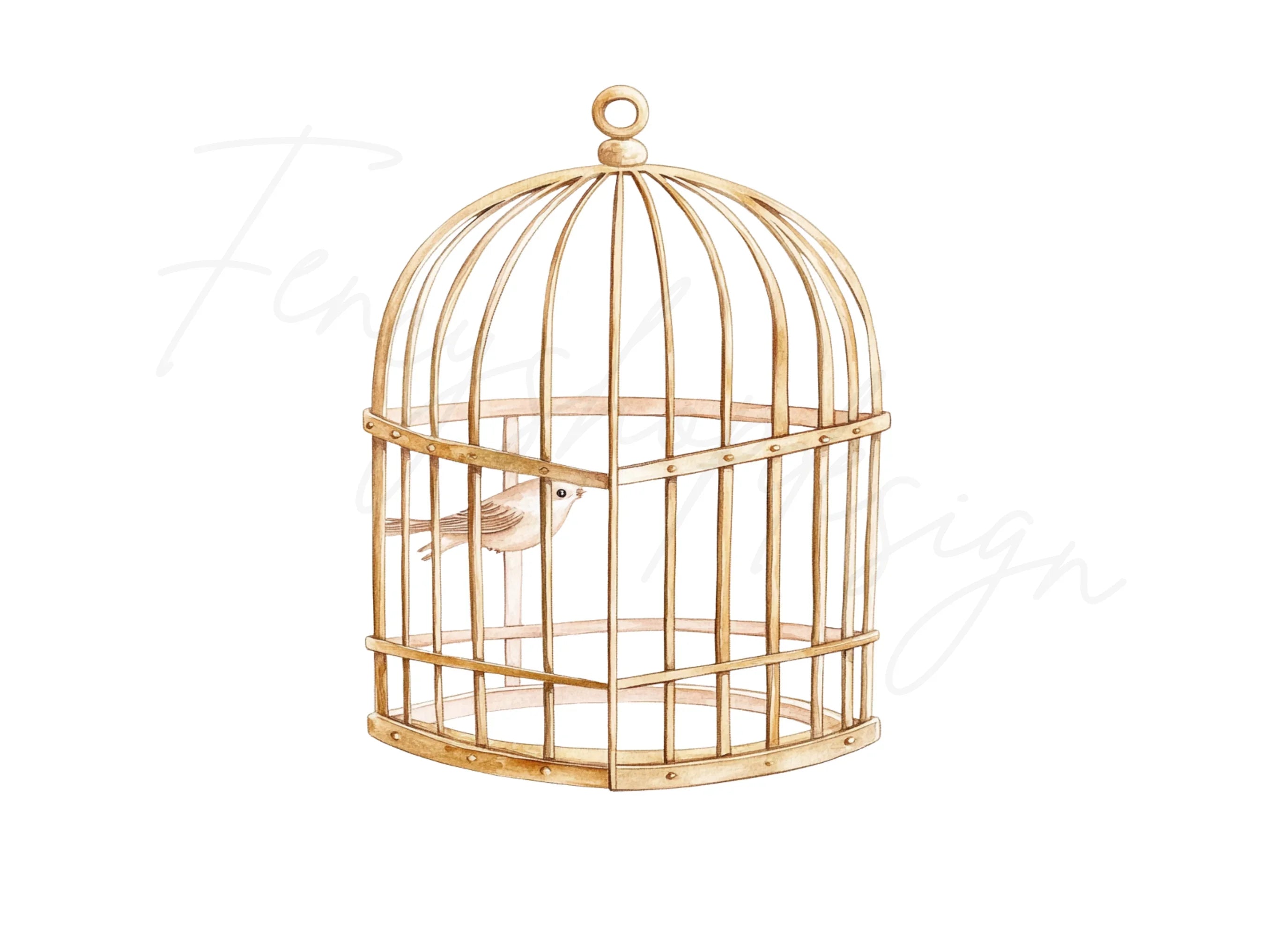 Vintage Bird Cages Clipart Bundle