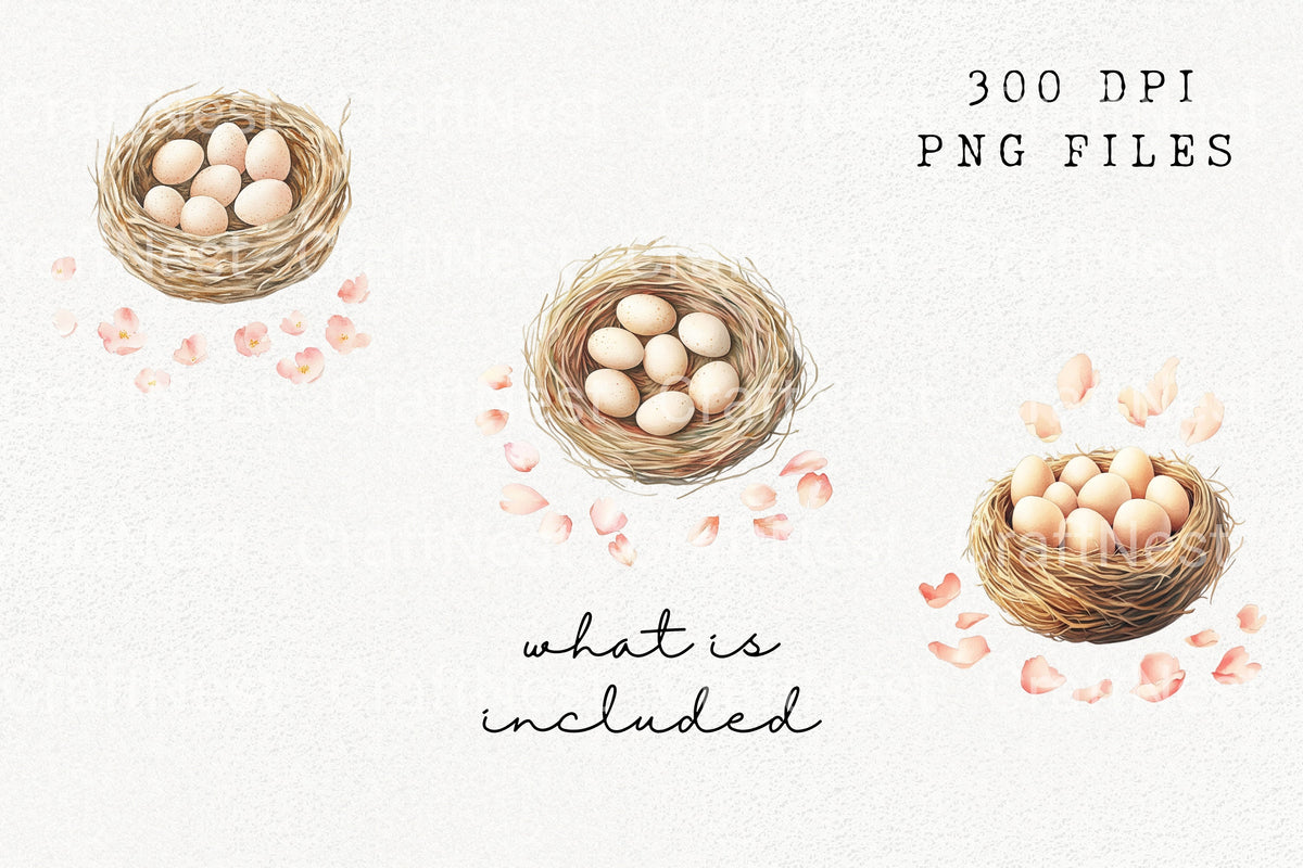 Bird Nests With Eggs Clipart Bundle