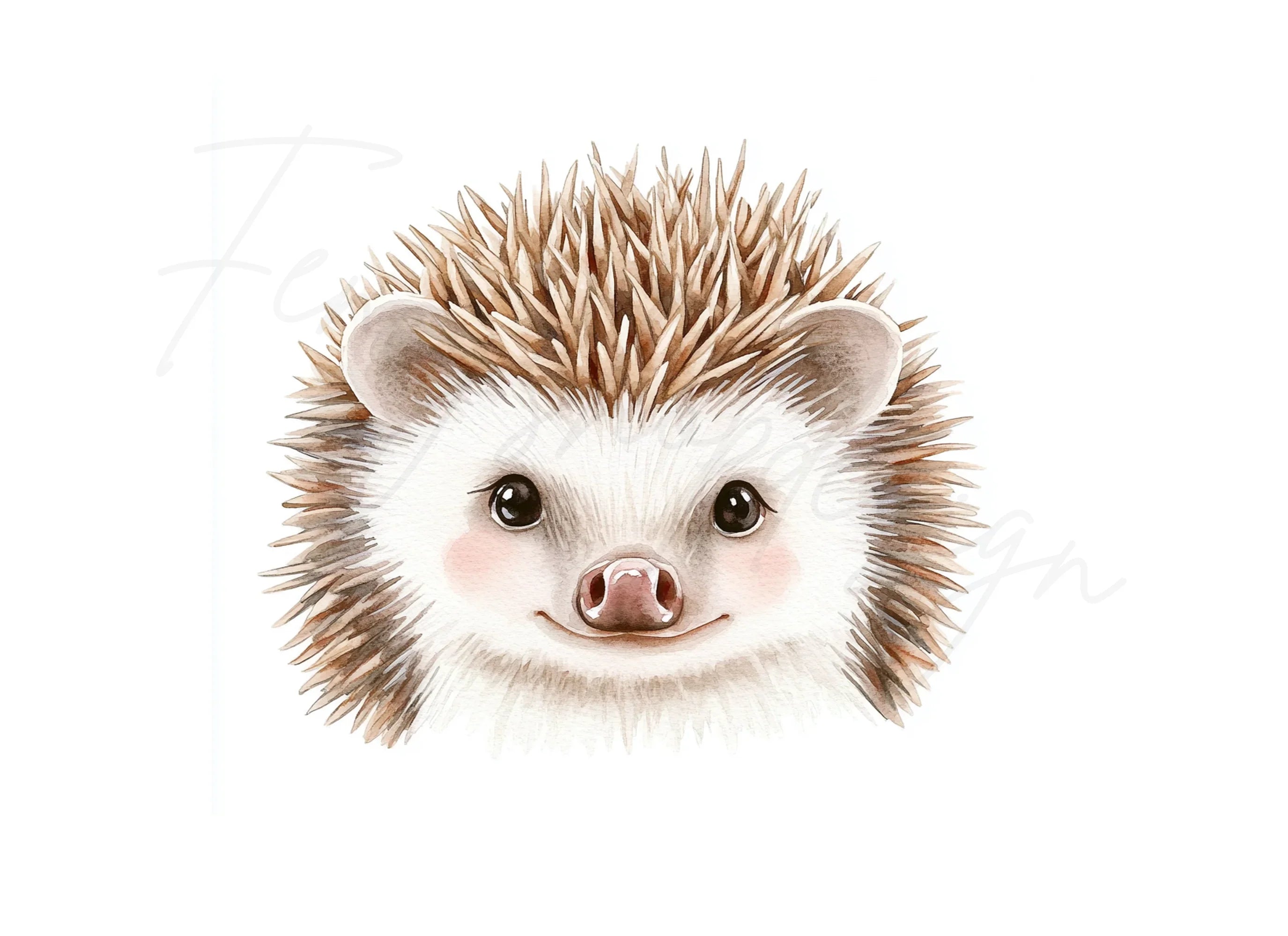 Cute Hedgehog Faces Clipart Bundle