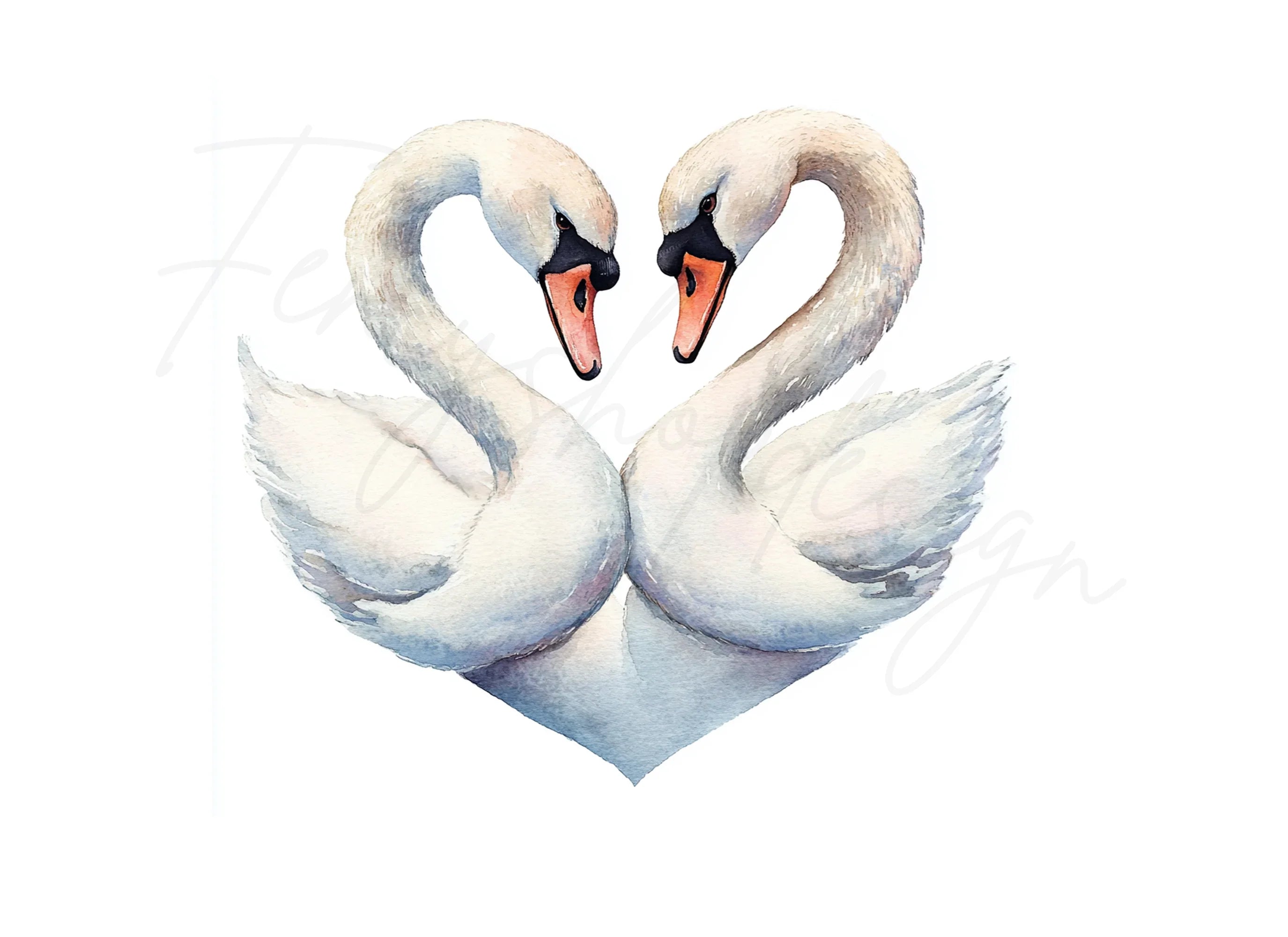 Swans Heart Clipart Bundle