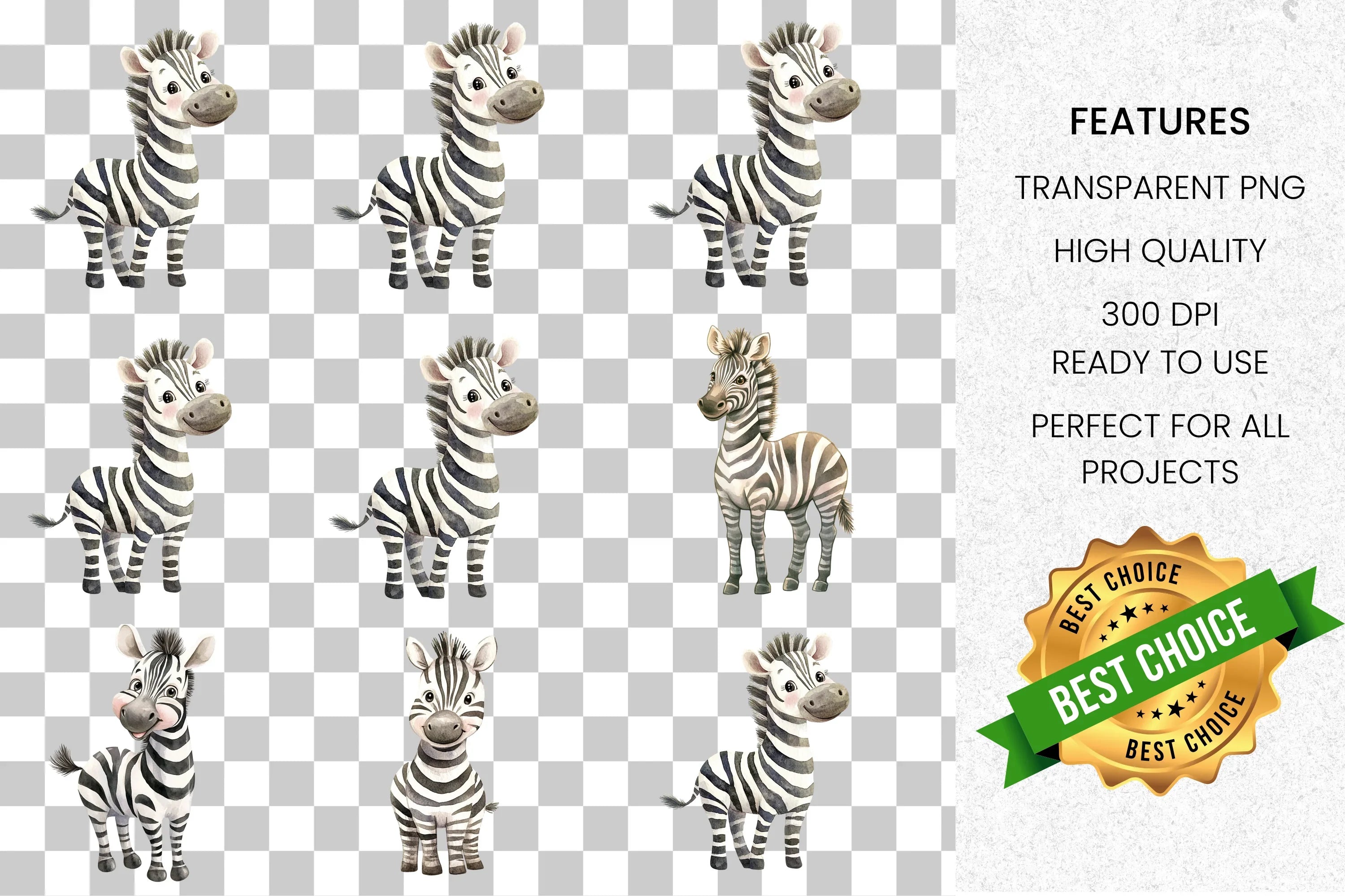 Cute Zebra Collection Clipart Bundle