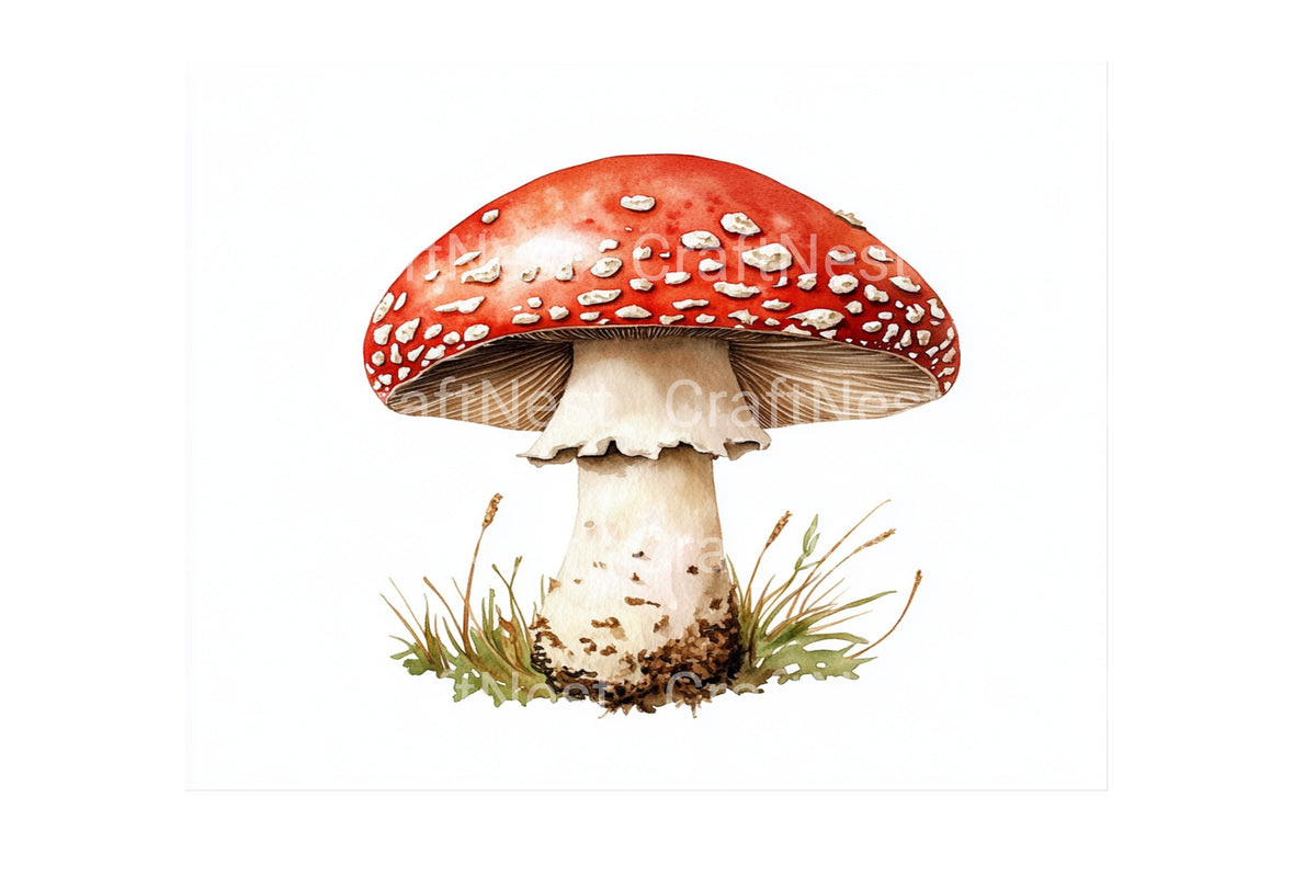 Amanita Muscaria Mushroom Artwork Clipart Bundle