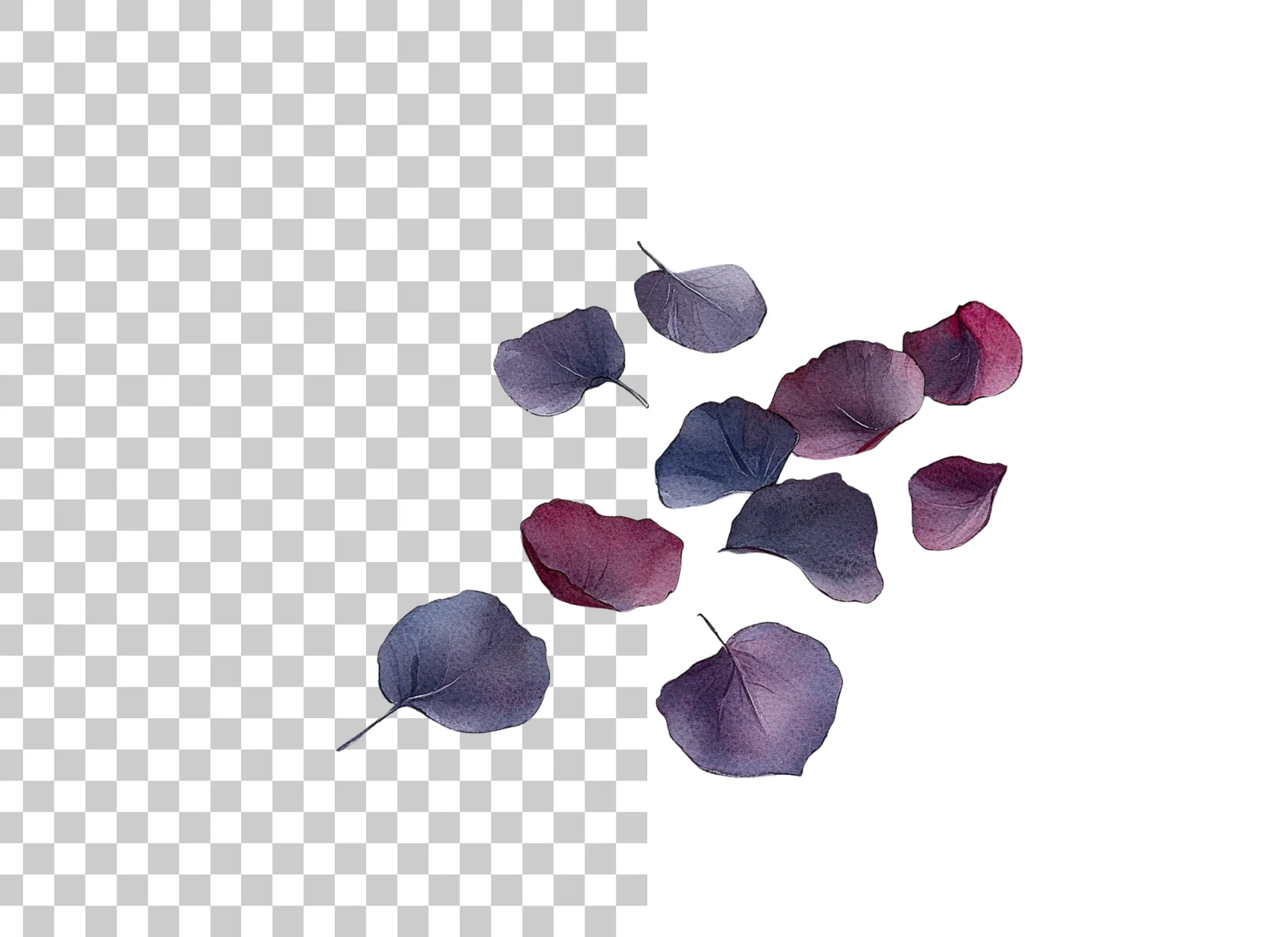 Eucalyptus Leaves Clipart Bundle