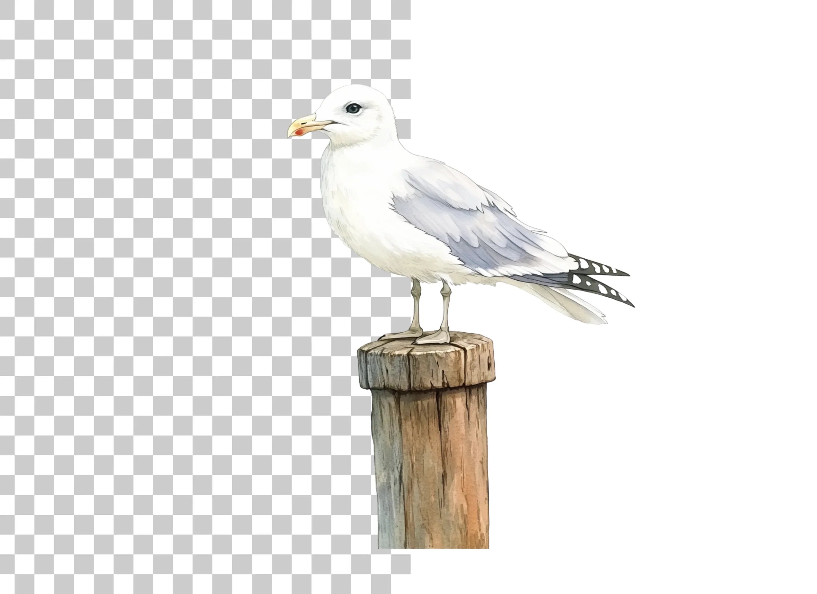 Seagull on Wooden Post Clipart Bundle