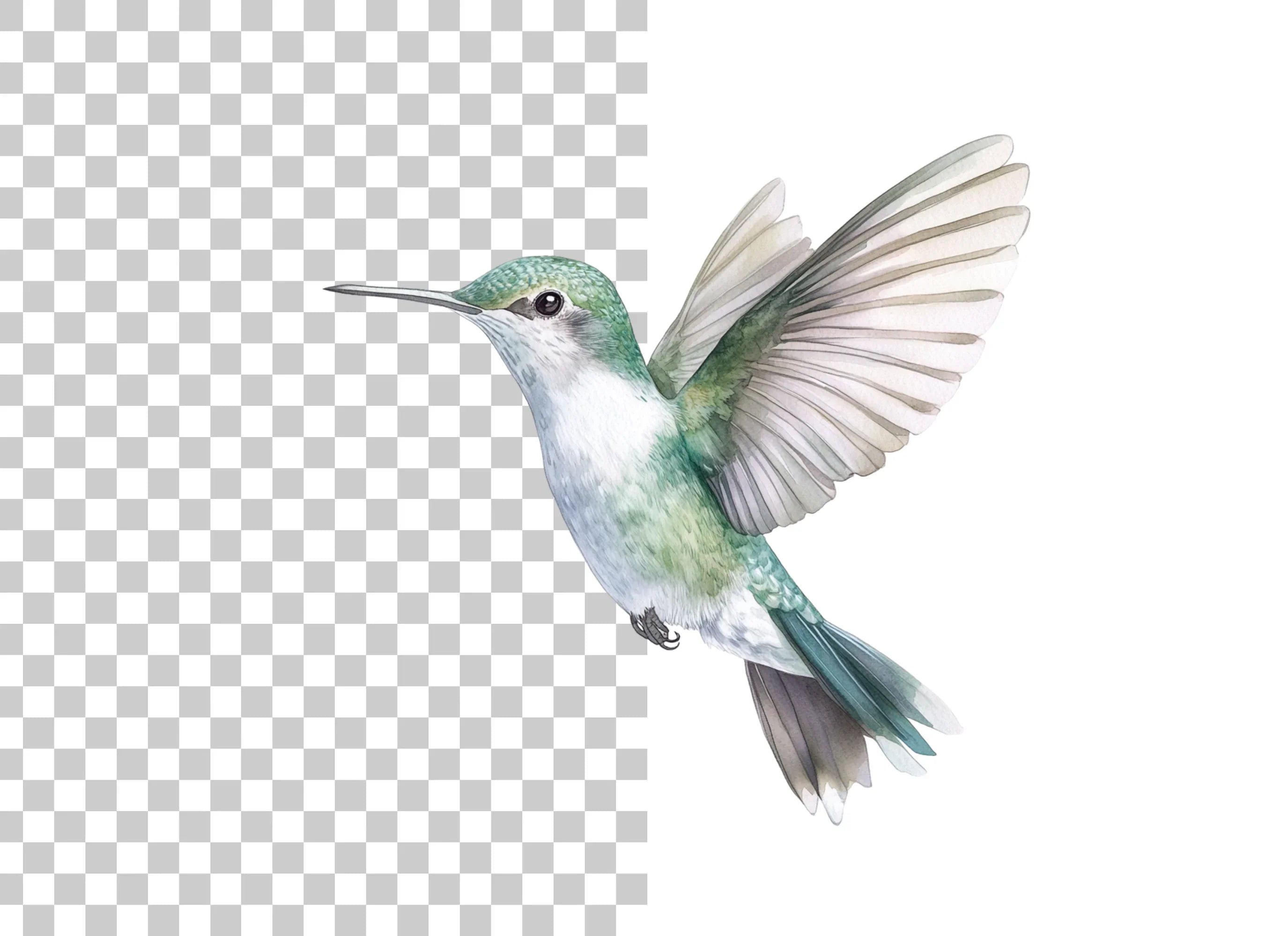 Hummingbird Clipart Bundle