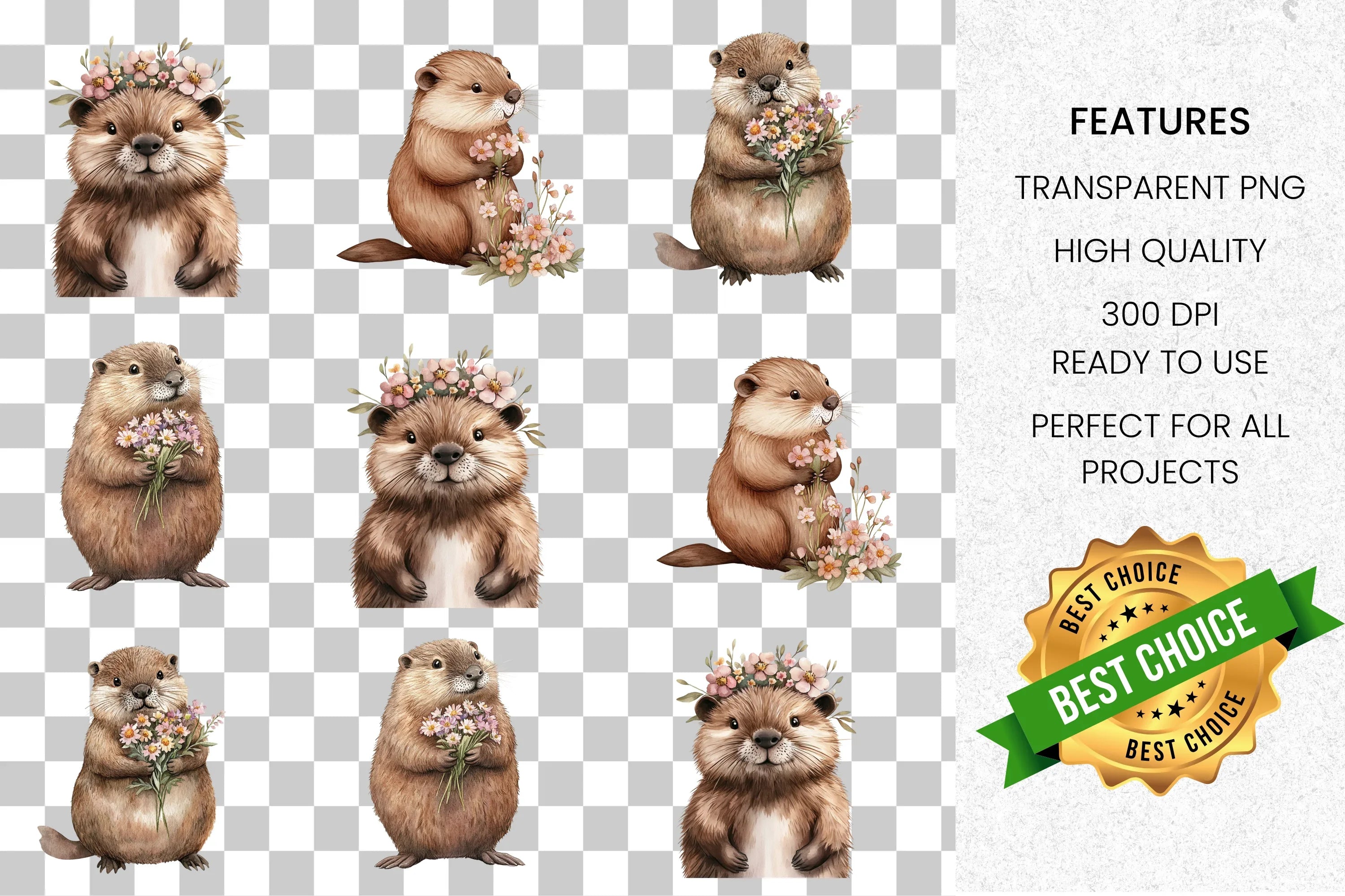 Adorable Groundhog Floral Clipart Bundle