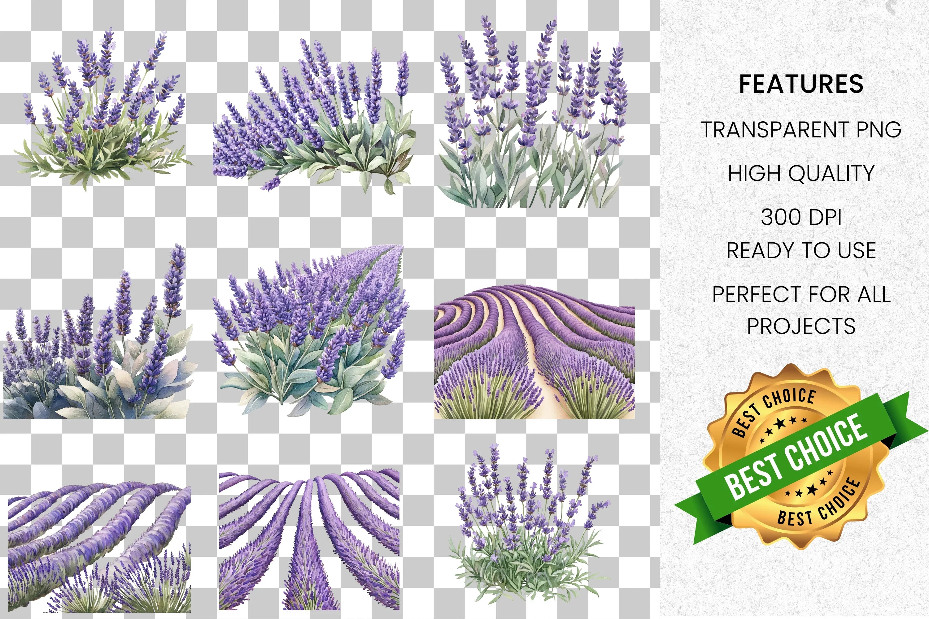Beautiful Lavender Floral Clipart Bundle