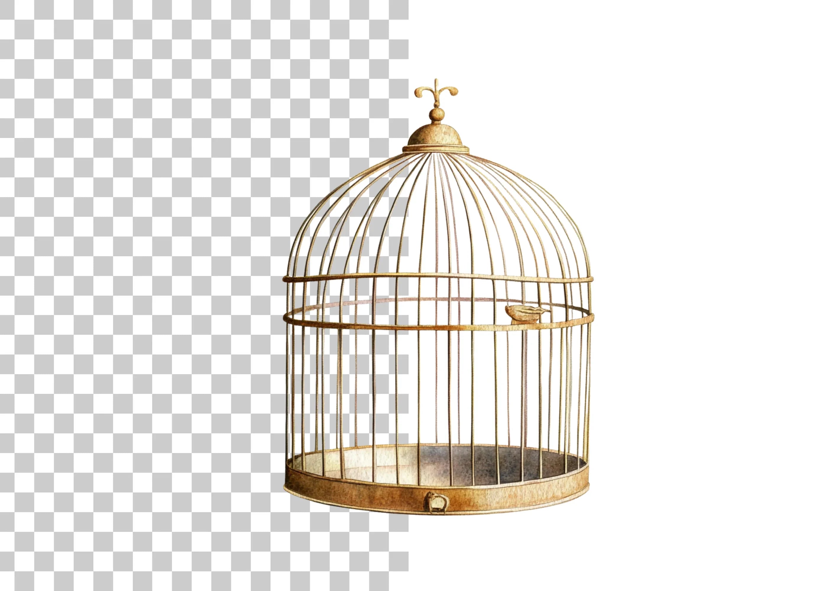 Ornate Vintage Birdcage Clipart Bundle