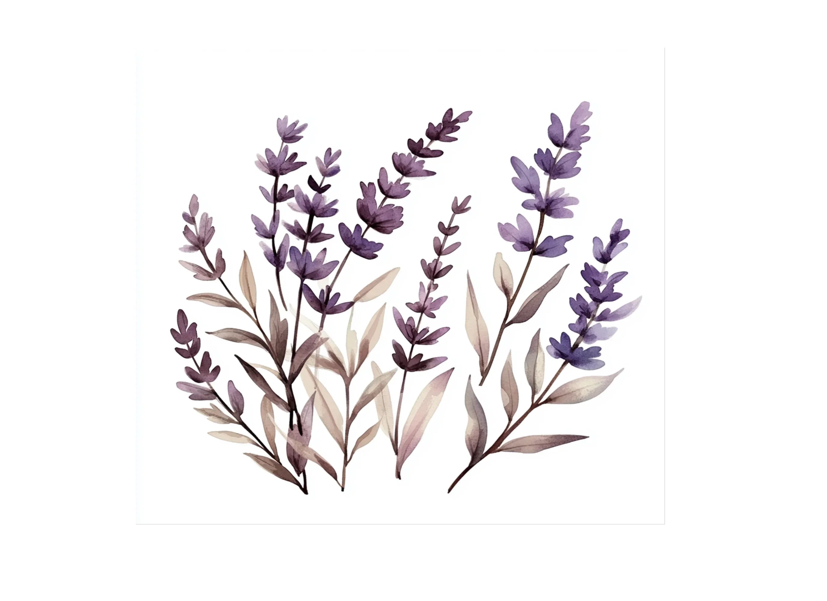 Lavender Clipart Bundle