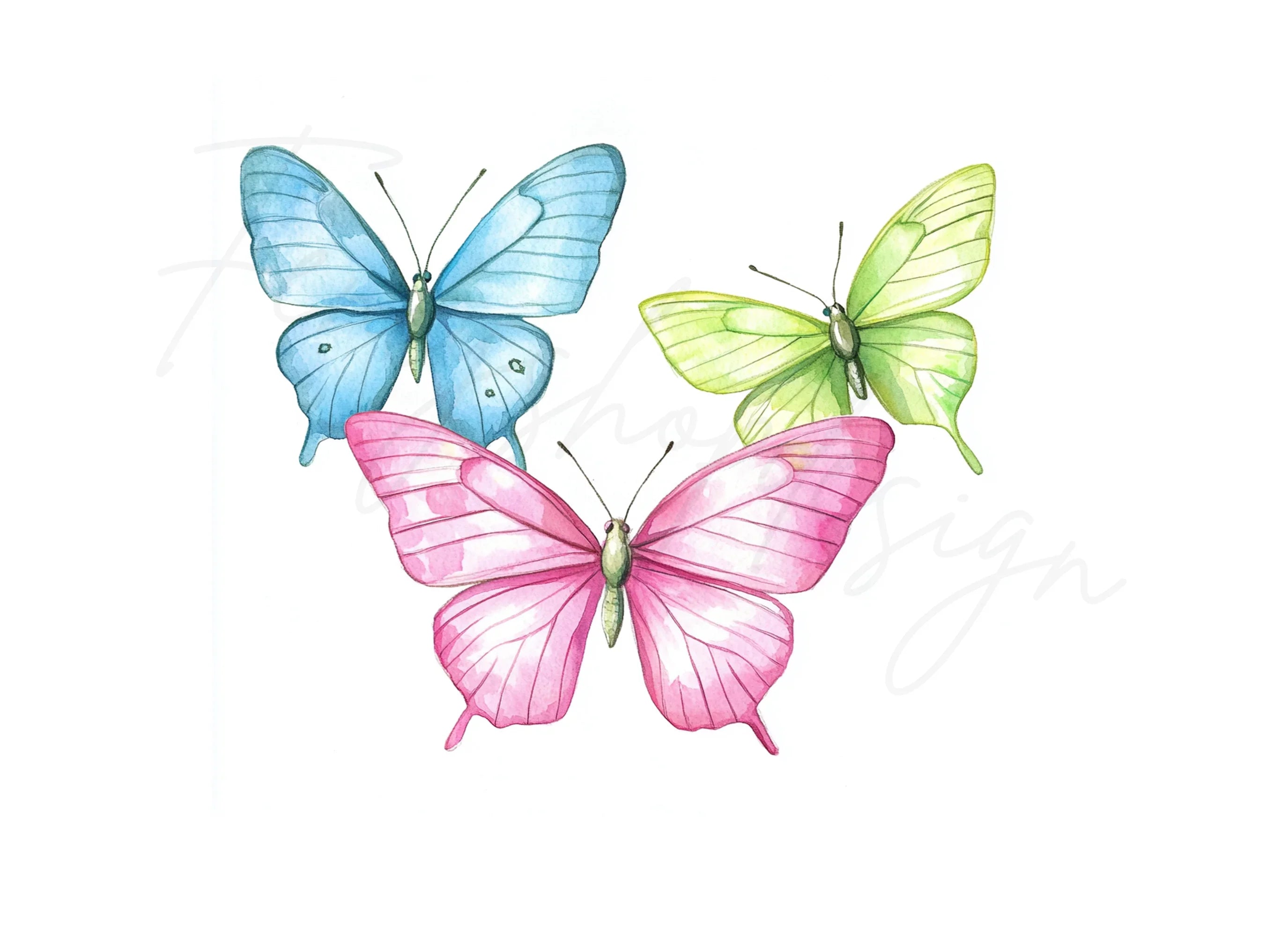 Colorful Butterfly Clipart Bundle