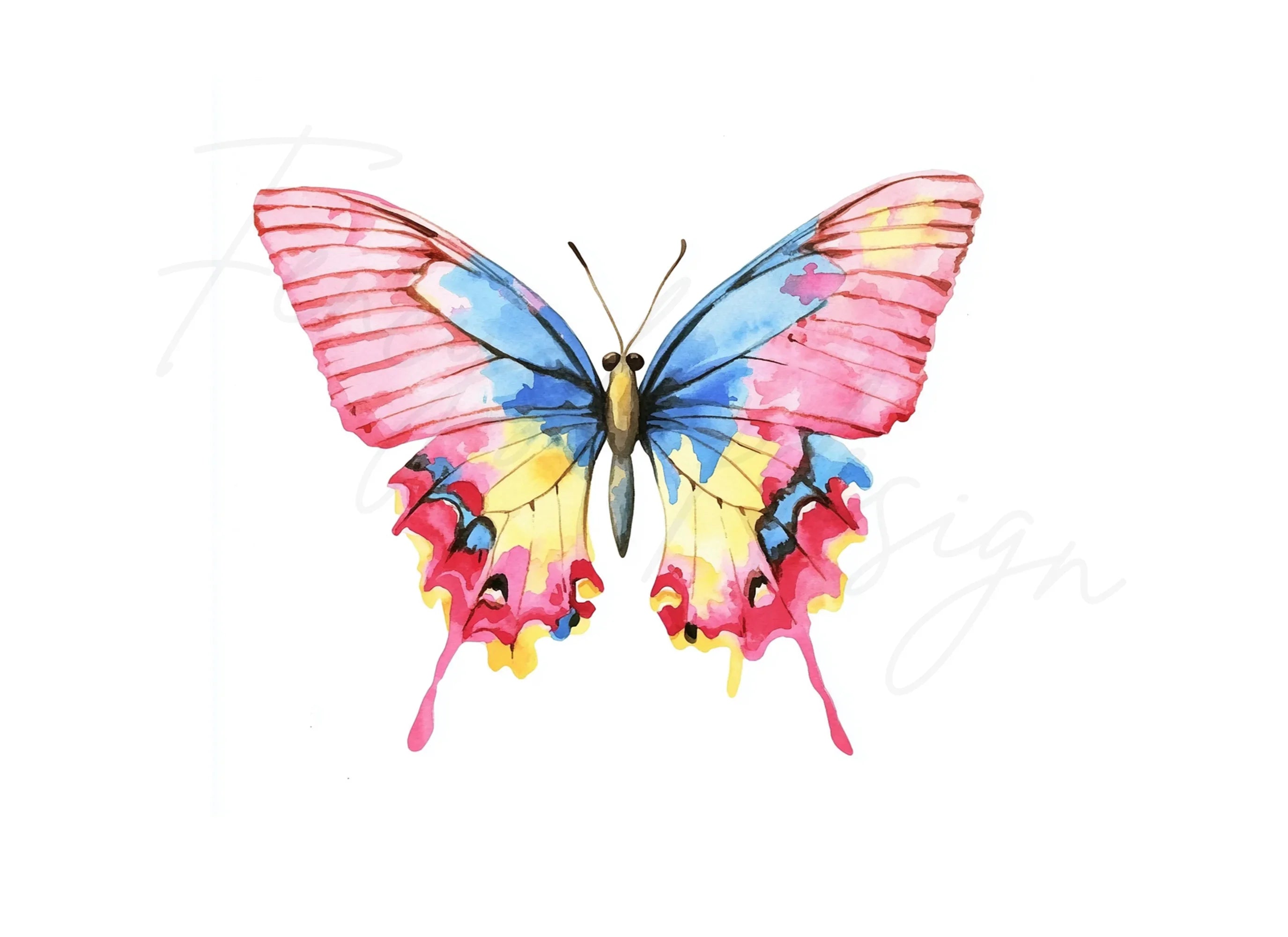 Vibrant Butterfly Clipart Bundle