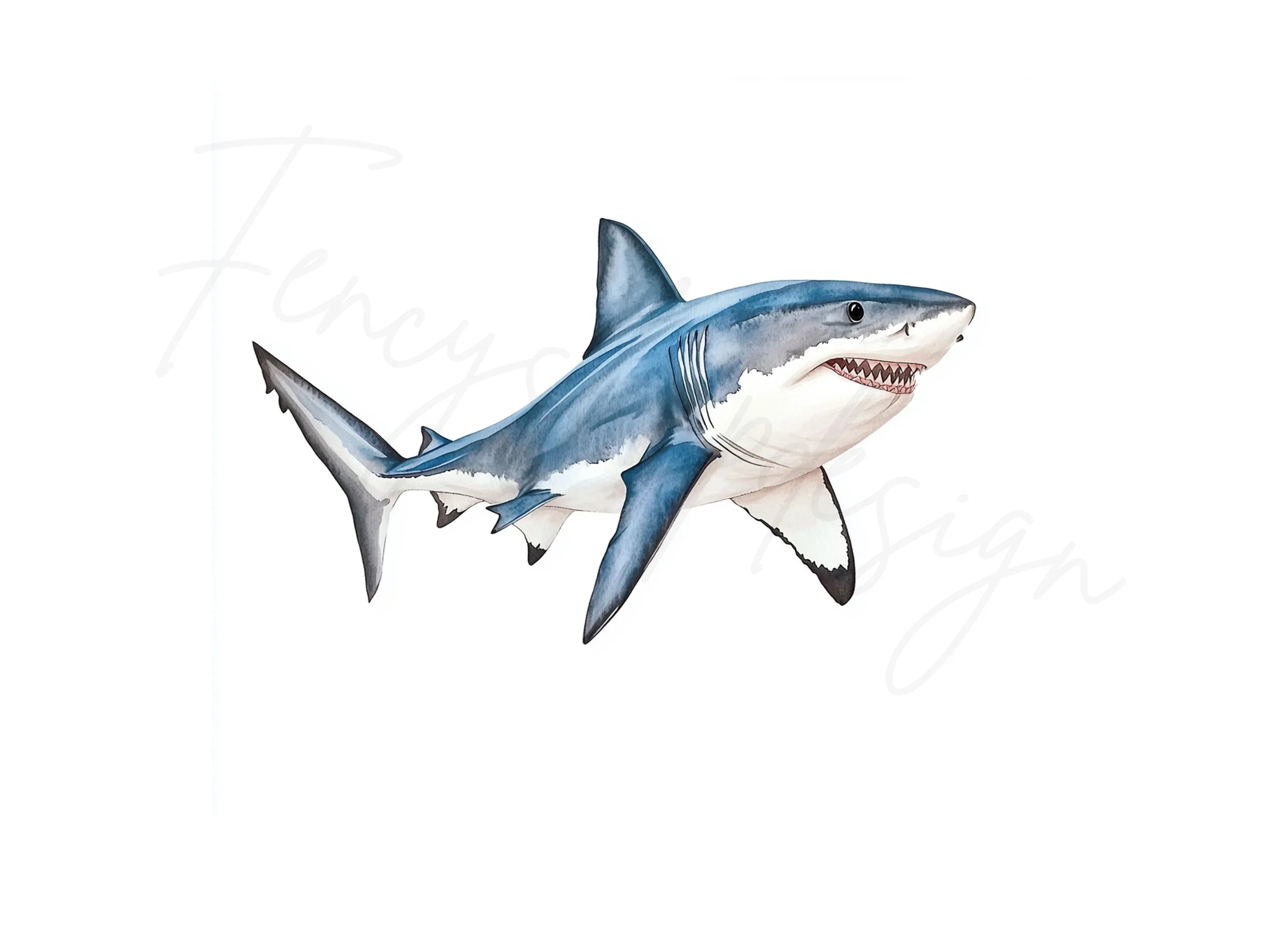 Great White Shark Clipart Bundle