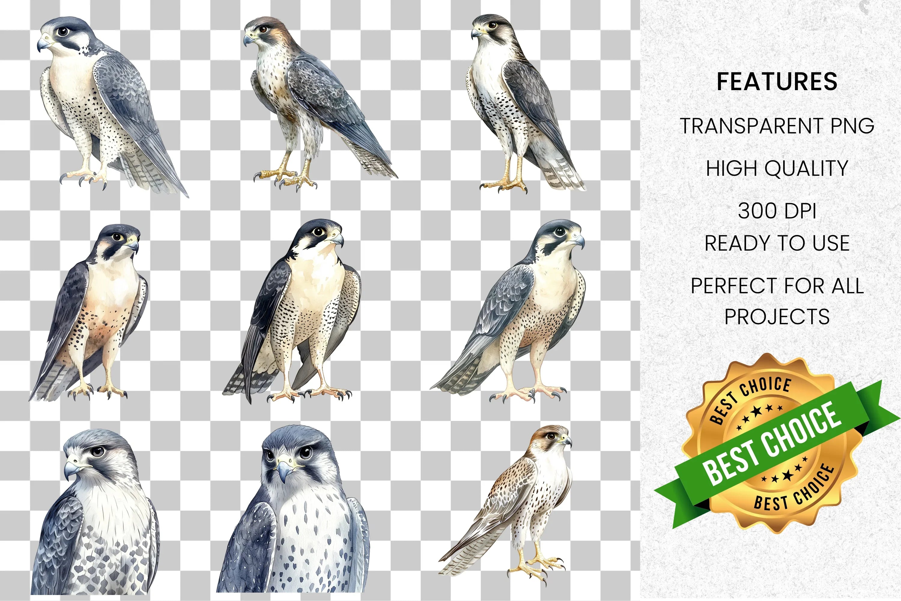 Majestic Falcon Clipart Bundle