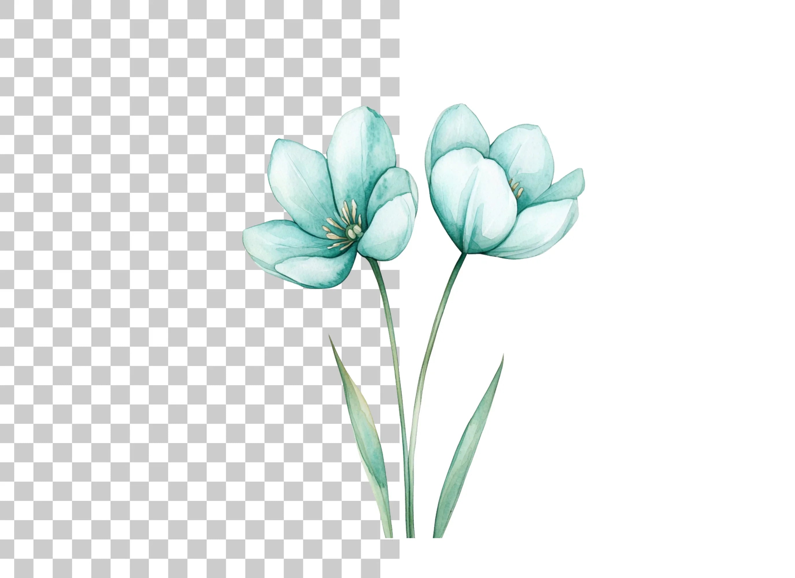 Elegant Teal Flower Buds Clipart Bundle