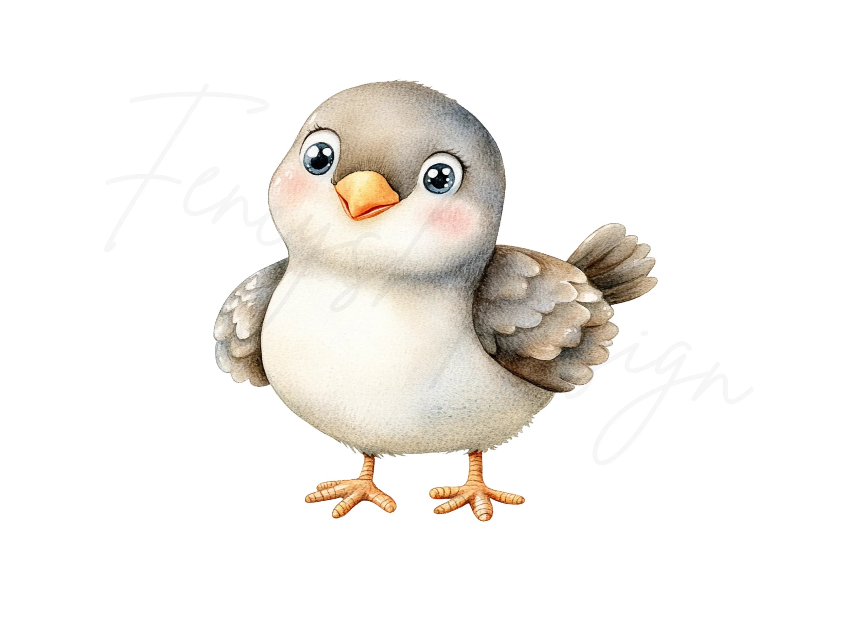 Charming Baby Bird Clipart Bundle