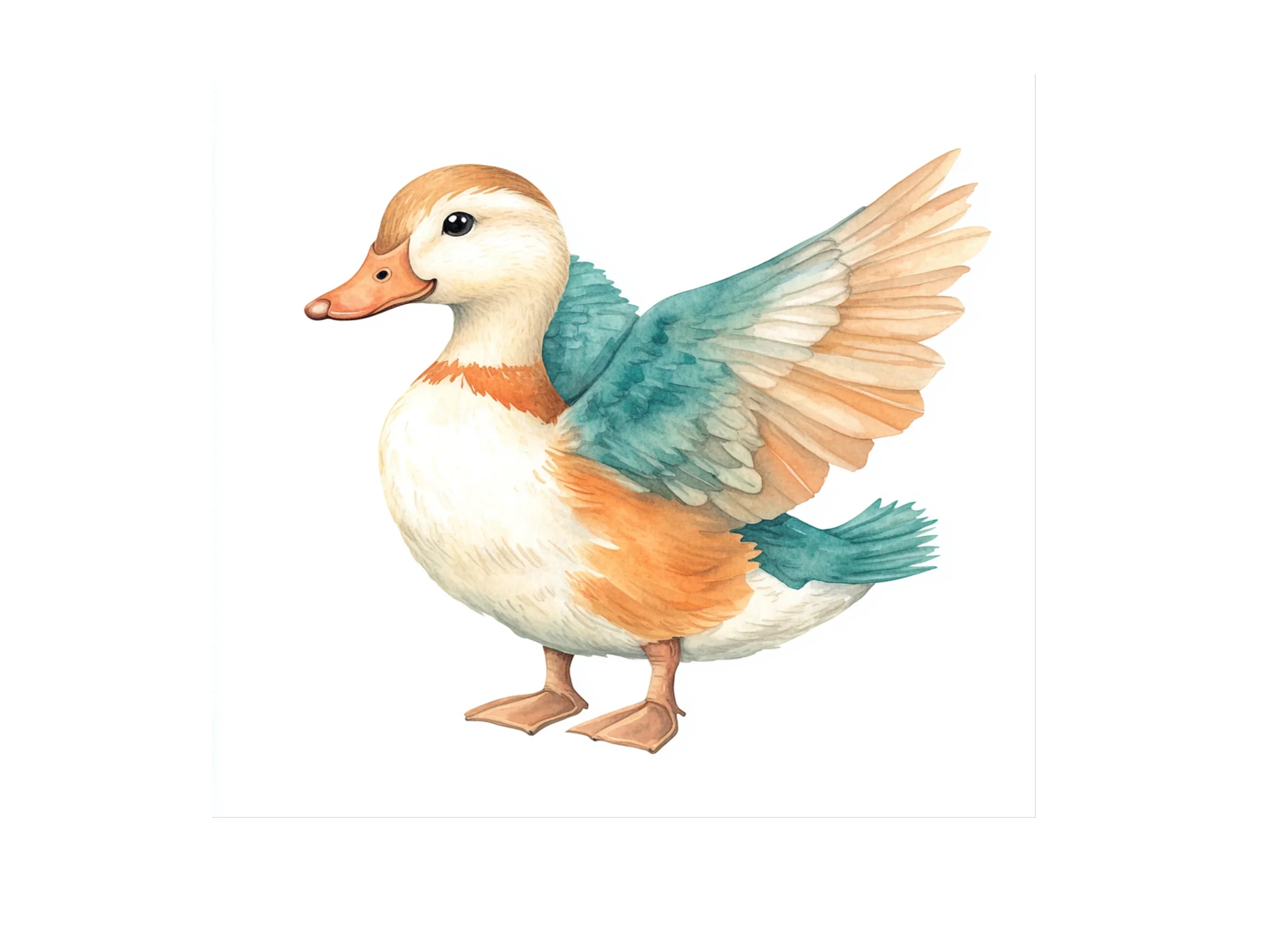 Cute Duck Clipart Bundle