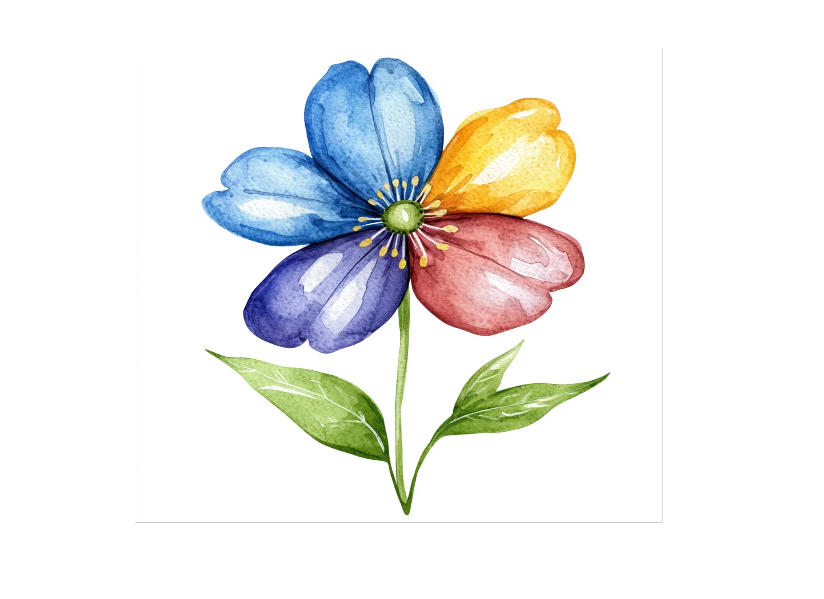 Vibrant Floral Clipart Bundle