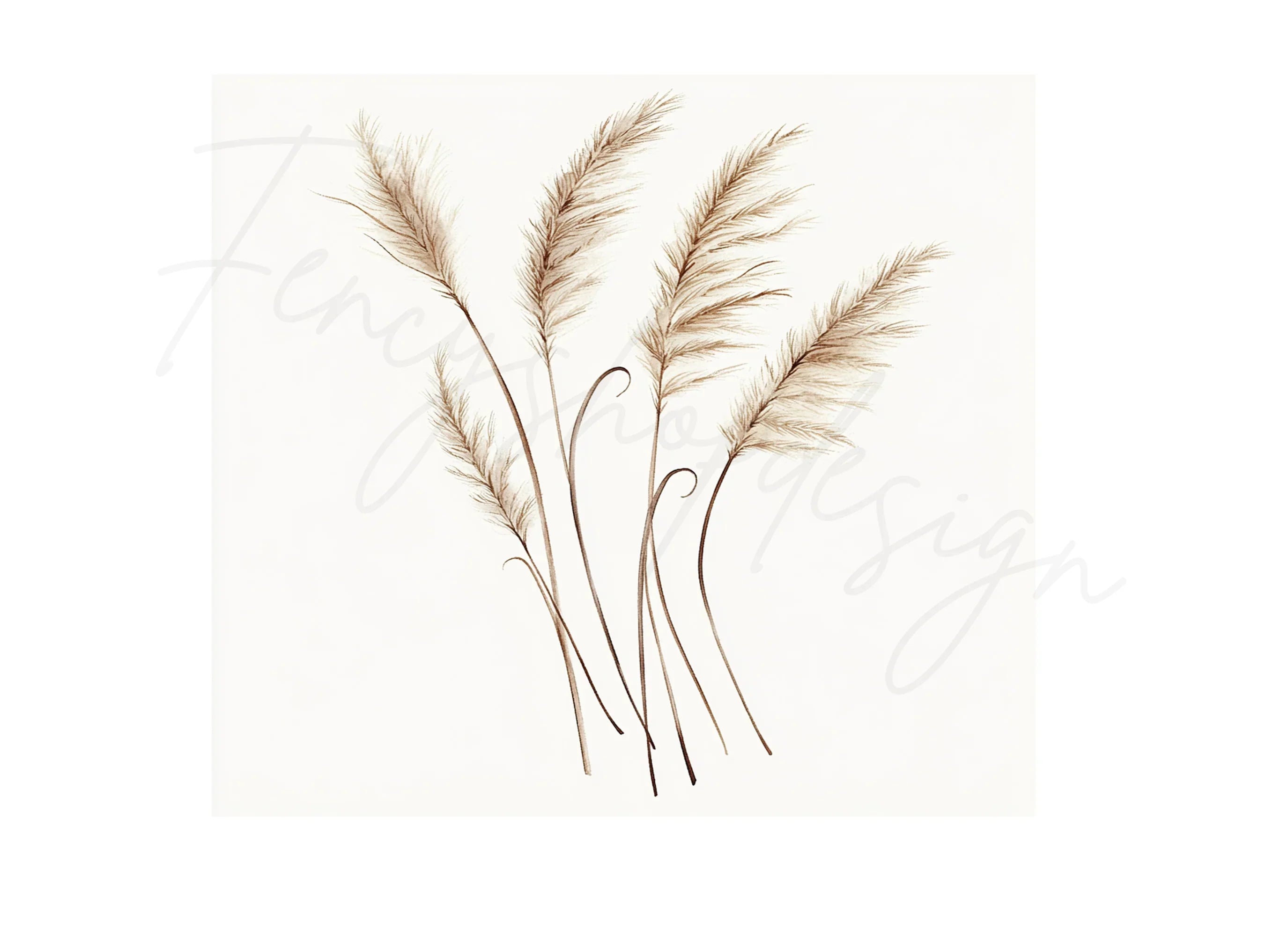 Pampas Grass Clipart Bundle