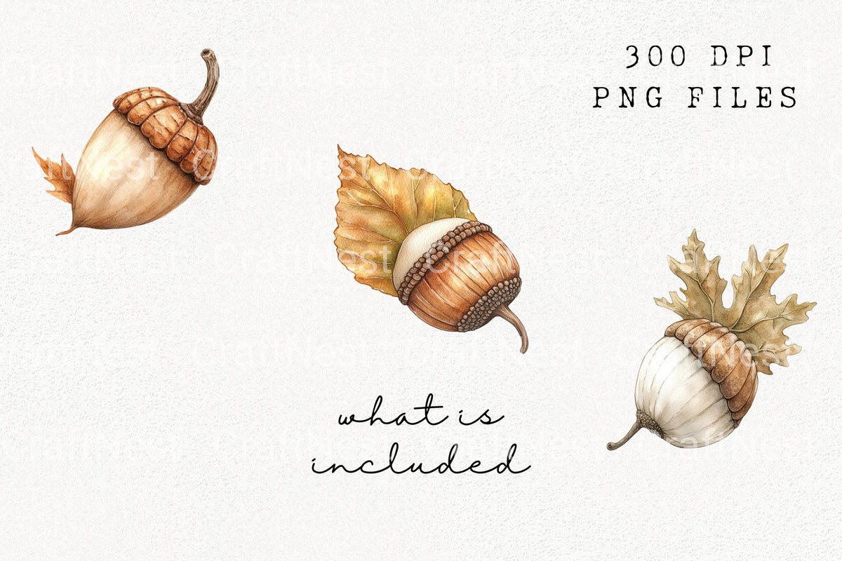 Acorn And Leaf Designs Clipart Bundle