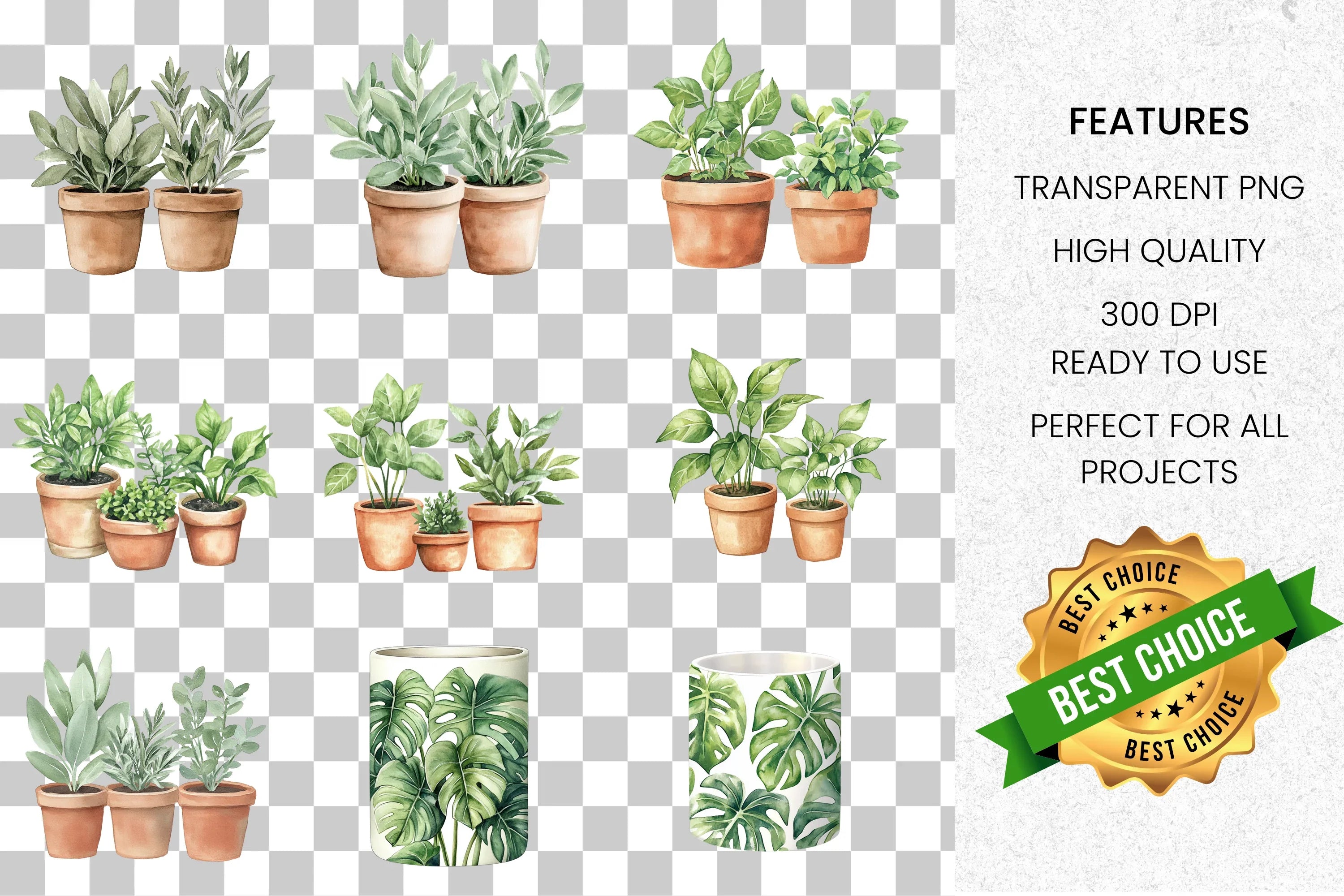 Potted Plants Clipart Bundle