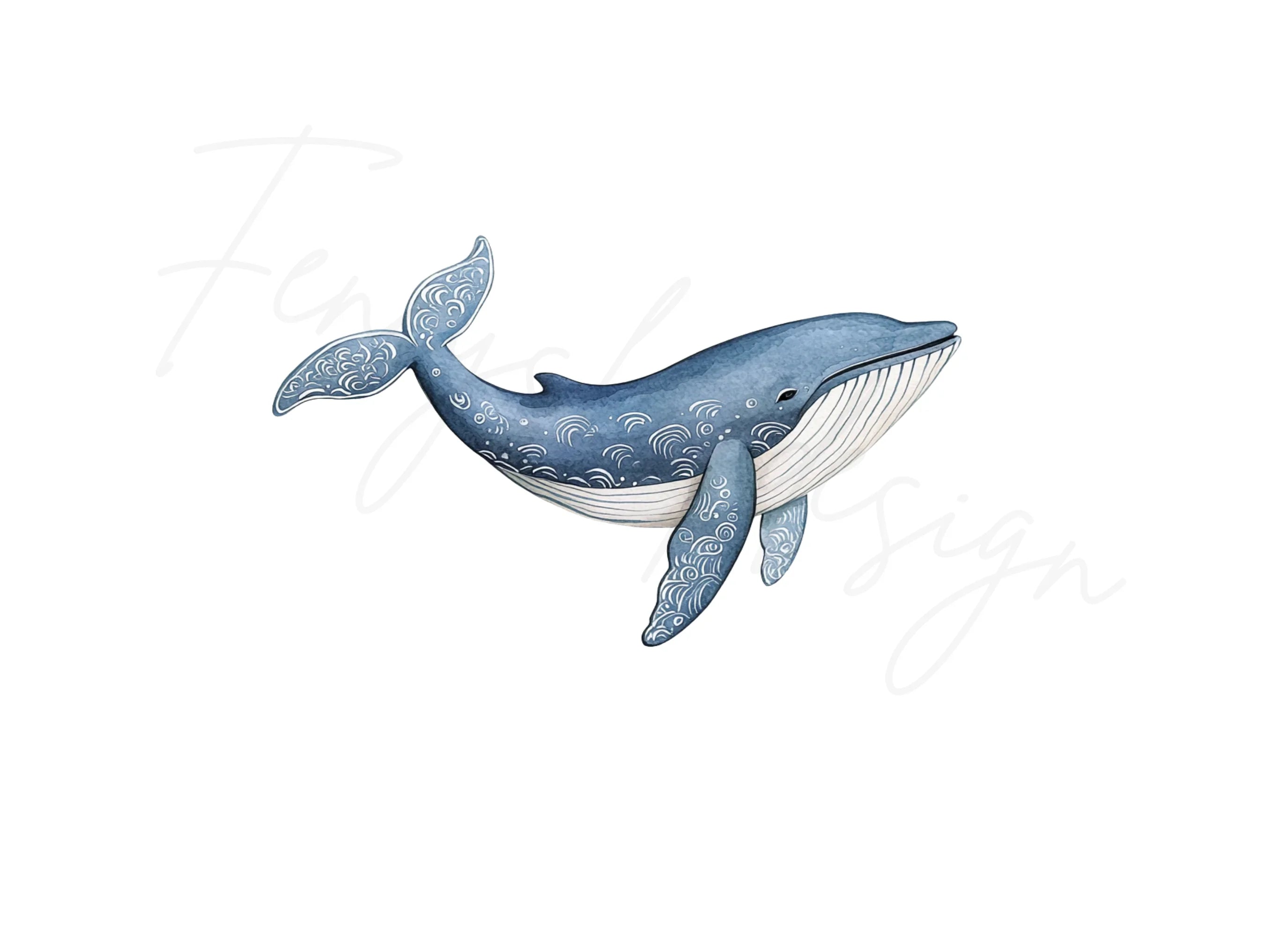Whale Clipart Bundle