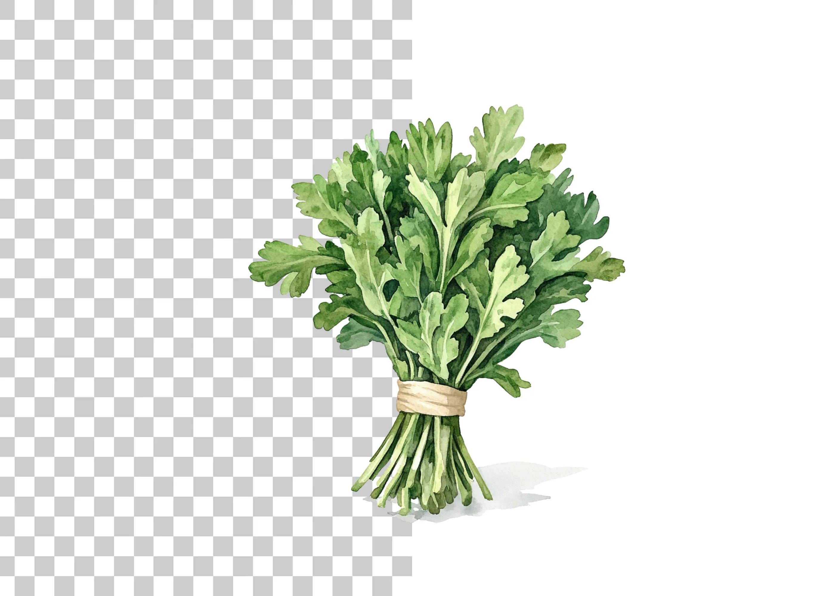 Fresh Greens Clipart Bundle