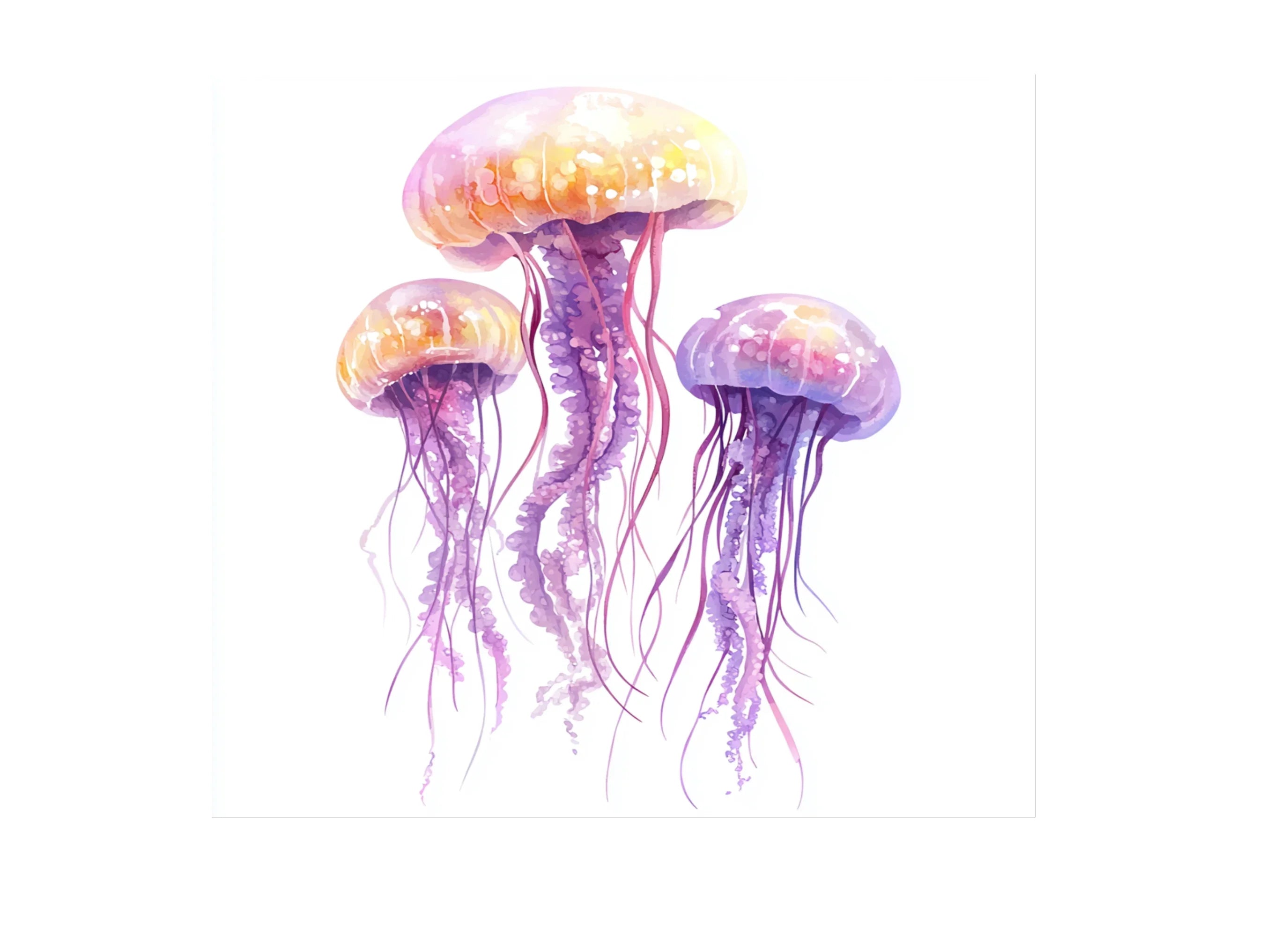 Jellyfish Clipart Bundle
