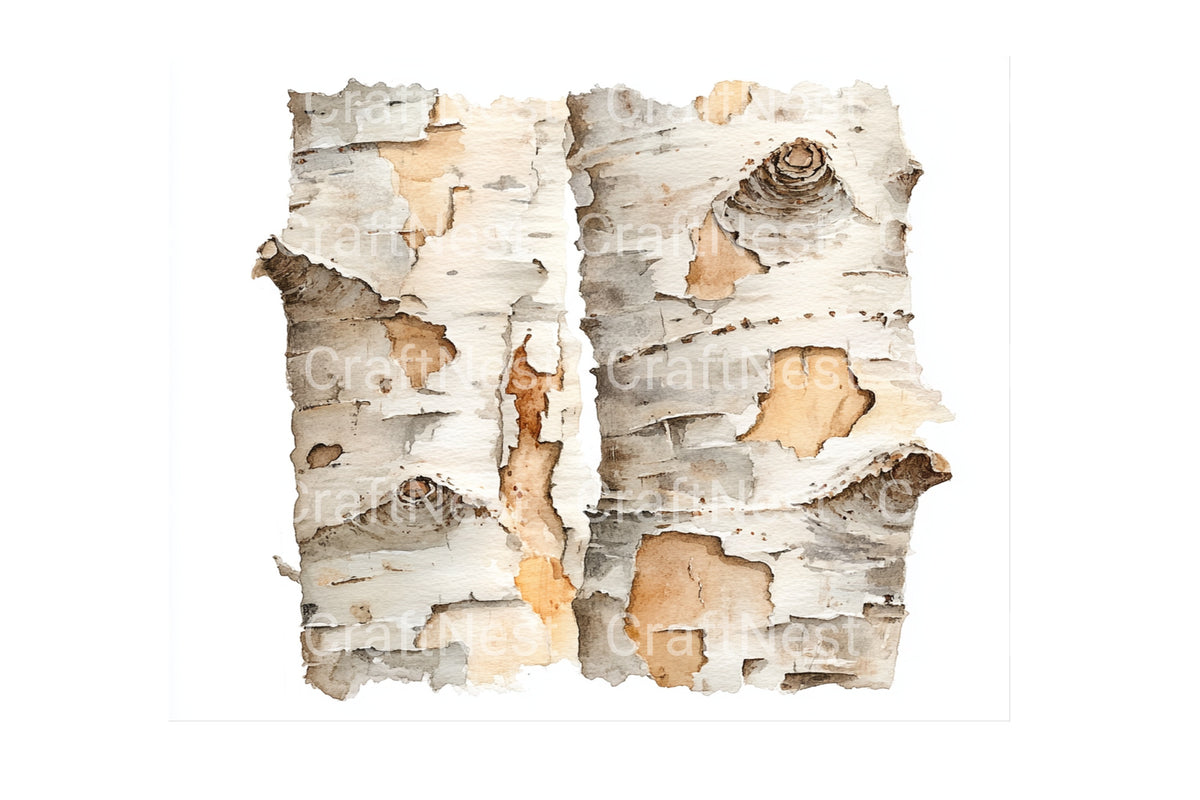 Peeling Birch Bark Designs Clipart Bundle
