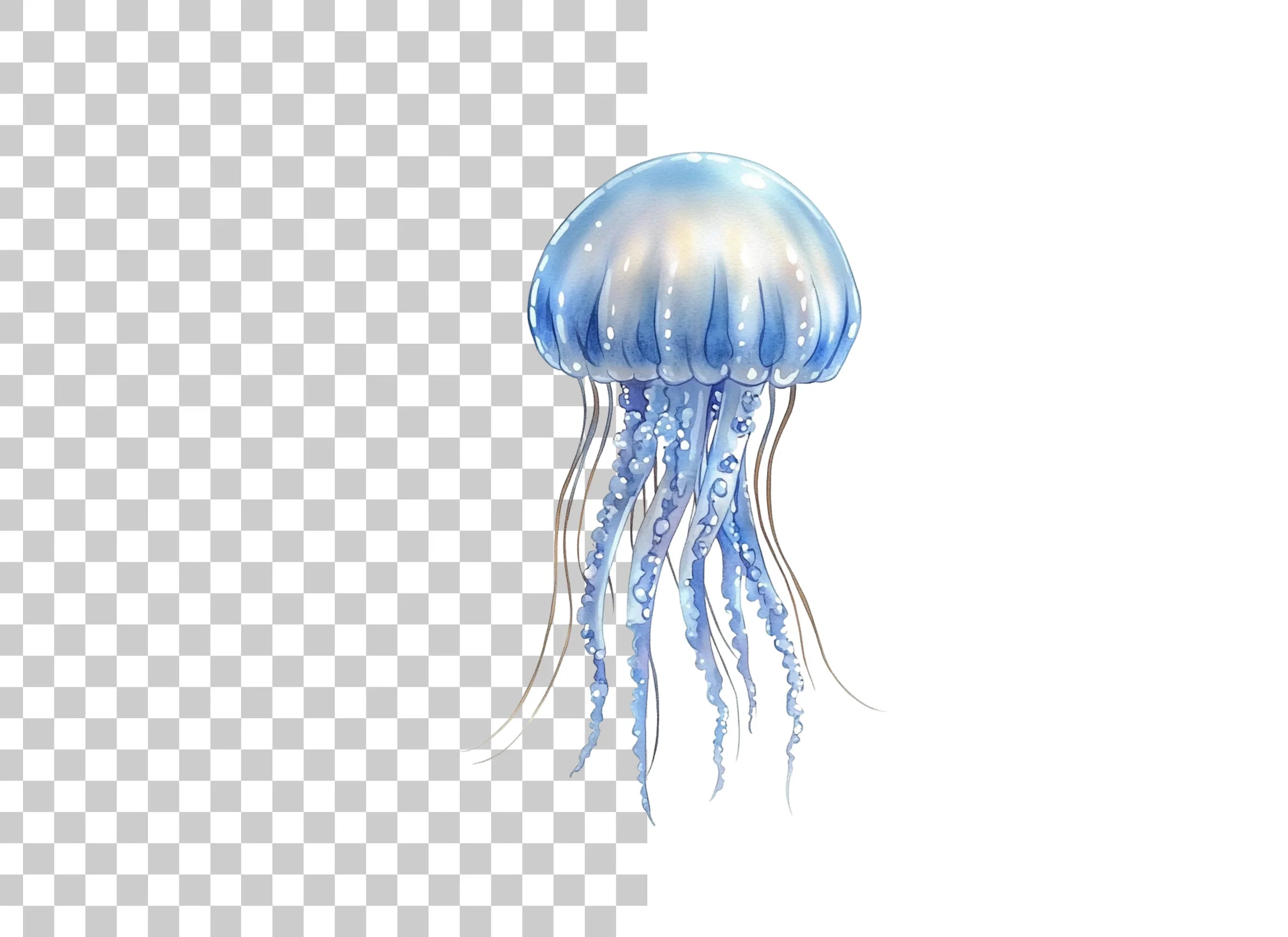 Jellyfish Clipart Bundle