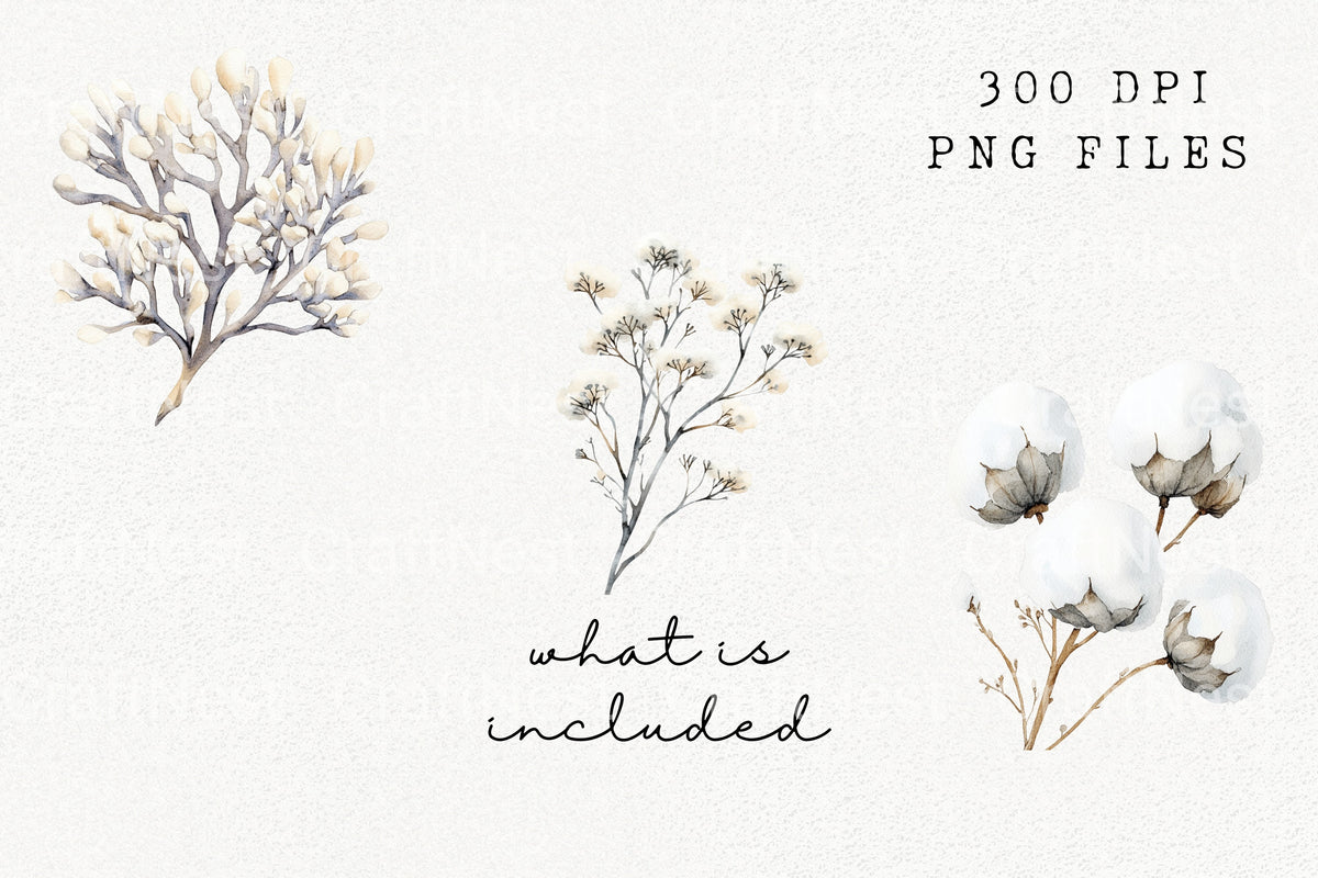 Winter Botanical Elements Clipart Bundle