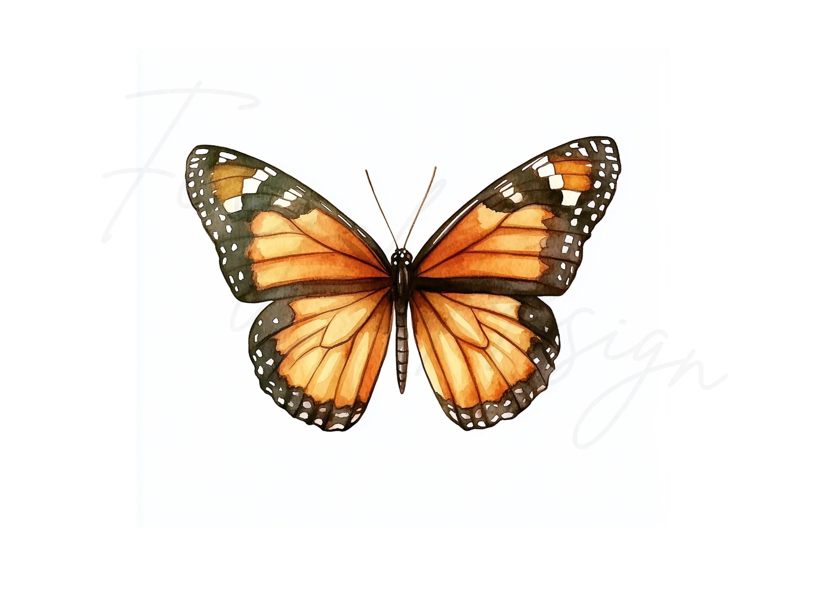 Monarch Butterfly Clipart Bundle