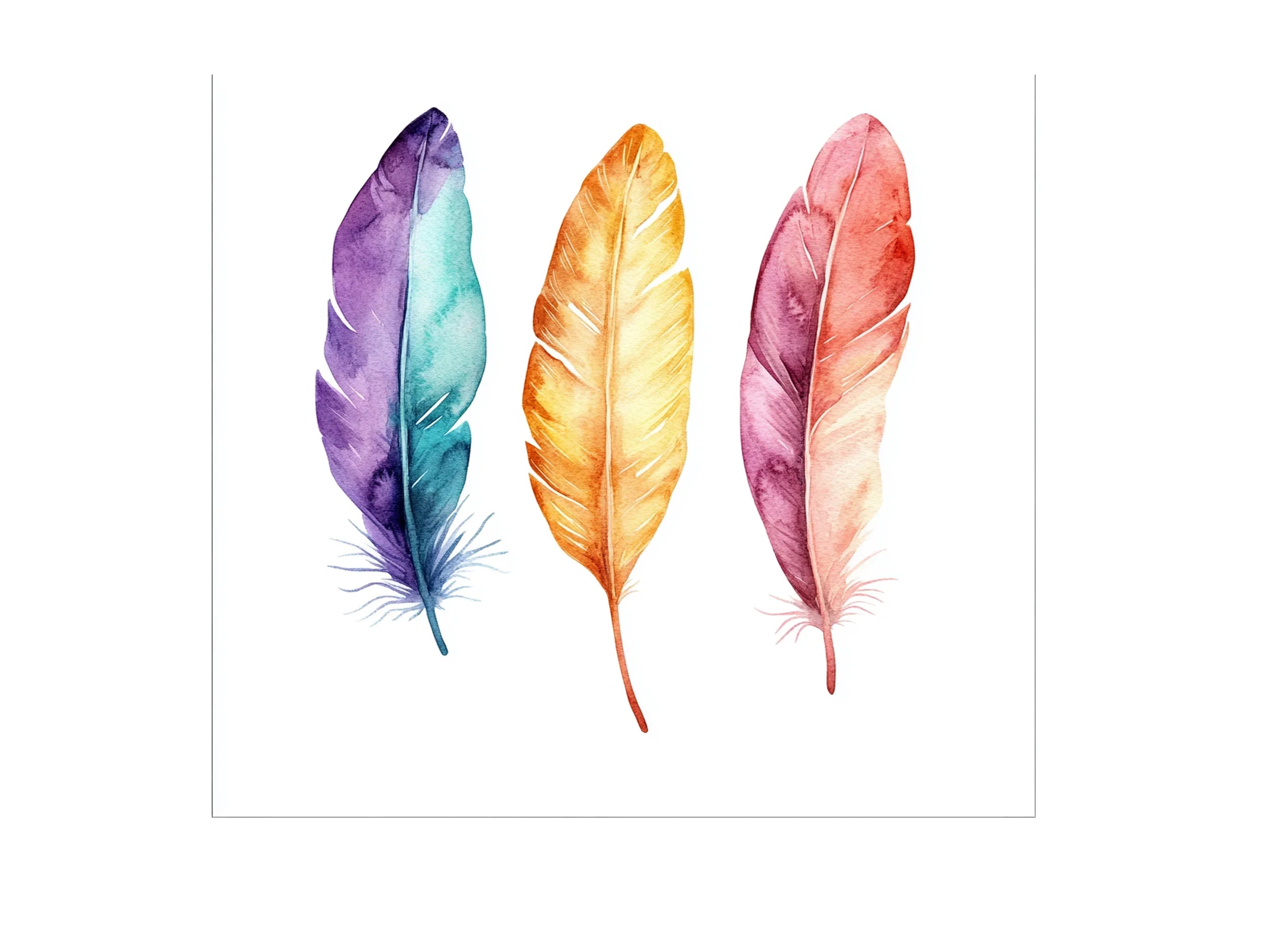 Vibrant Feather Clipart Bundle