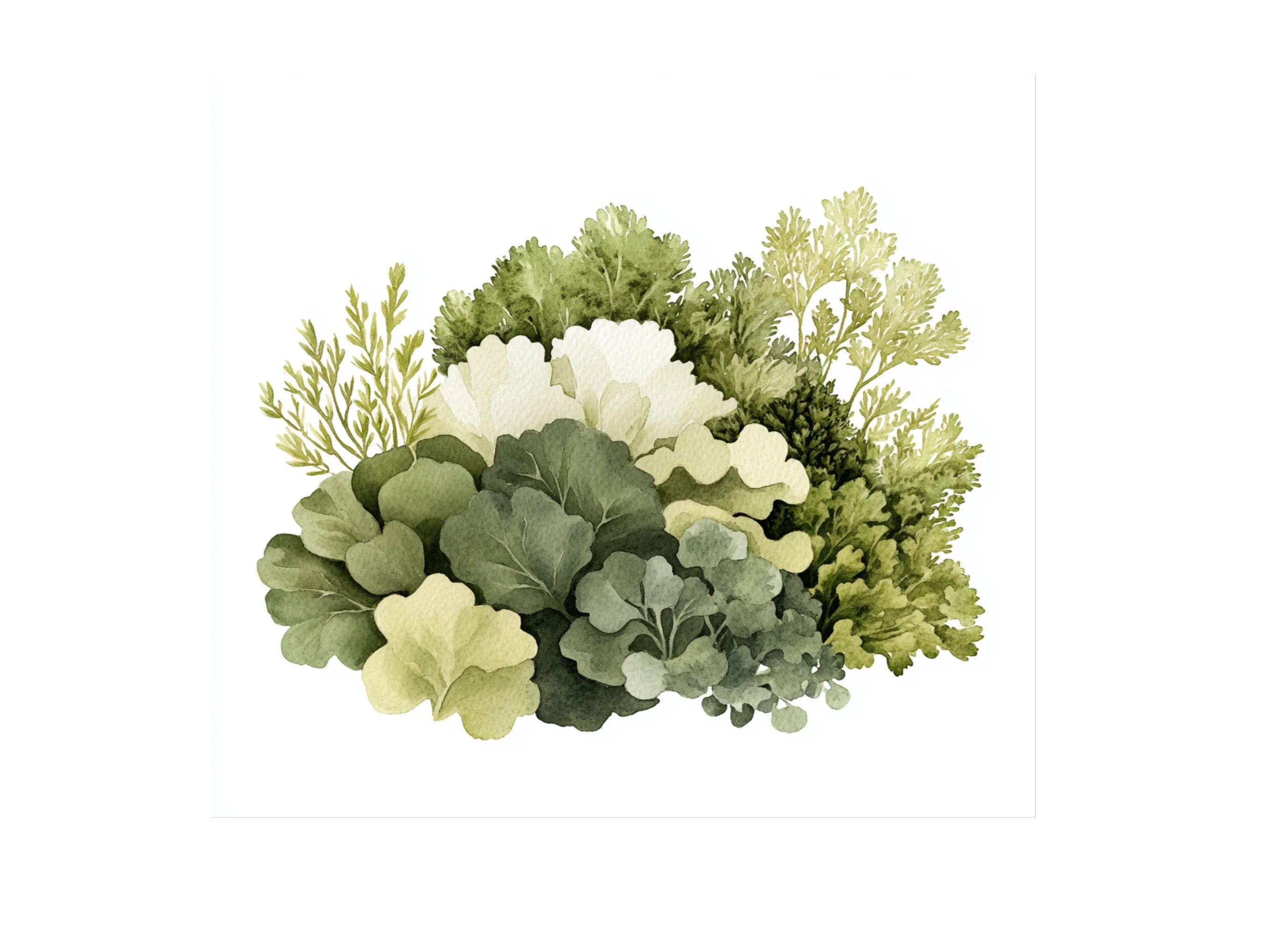 Earthy Green Foliage Clipart Bundle